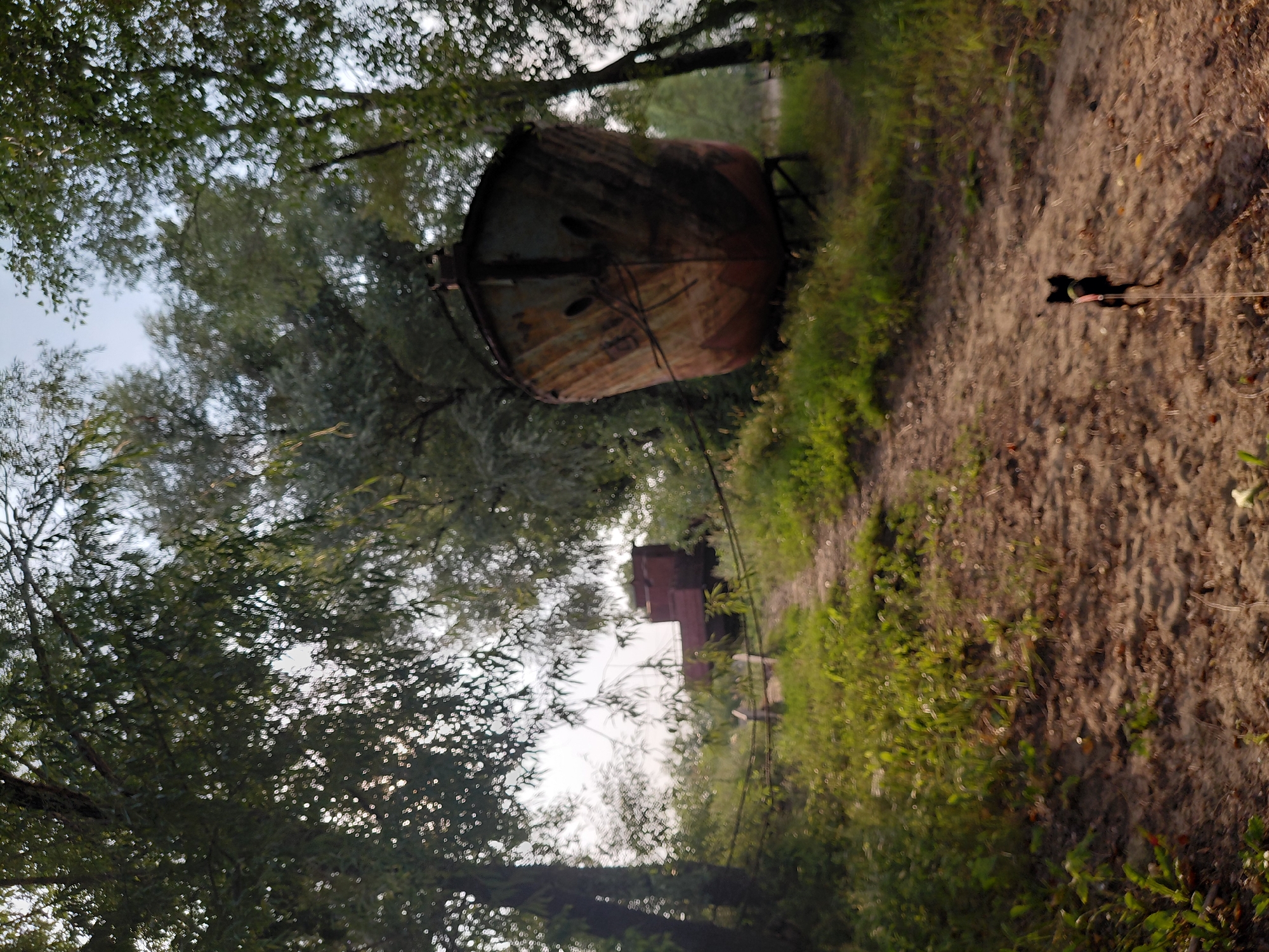 This is a photograph taken outdoors in Novosibirsk, Russia, on a sunny day. The scene depicts an abandoned ship resting on land, surrounded by trees and overgrown vegetation. In the foreground, a dirt path leads towards the ship. A small black dog on a leash is walking away from the camera on the path. The ship is rusty and weathered, showing signs of age and disuse. Its hull is visible, with two porthole-like openings. Behind the ship, another structure, possibly another part of a vessel or a dock, is partially visible. The overall atmosphere is one of neglect and decay, contrasting with the natural beauty of the surrounding greenery.