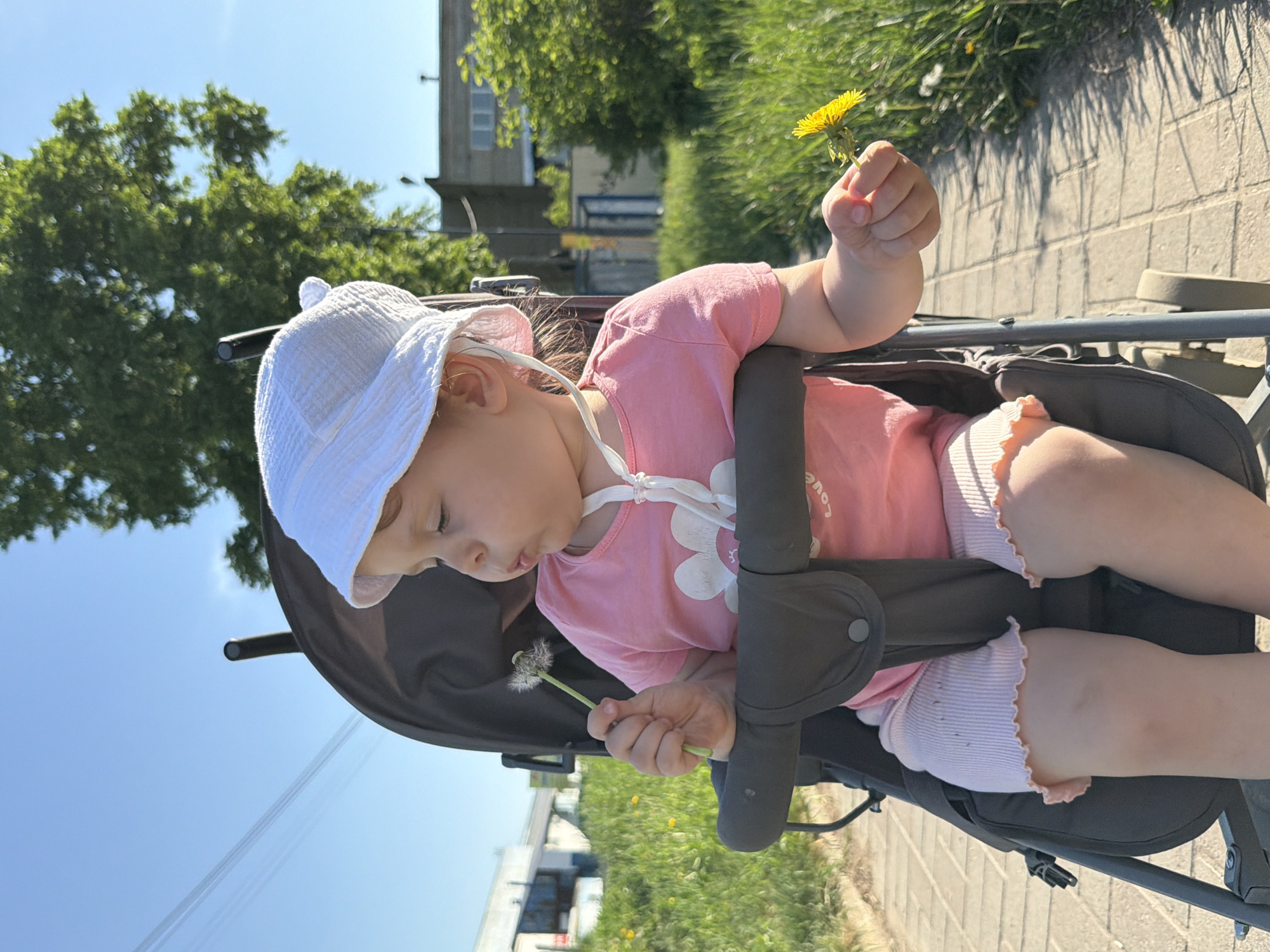 A child is sitting in a stroller and holding a dandelion. The child wears a white sun hat, a pink shirt with a white flower graphic, and pink shorts. The stroller is black and grey. The setting appears to be outdoors, with a paved path and green grass. A building is in the background. The location is Chaikovsky, Russia.