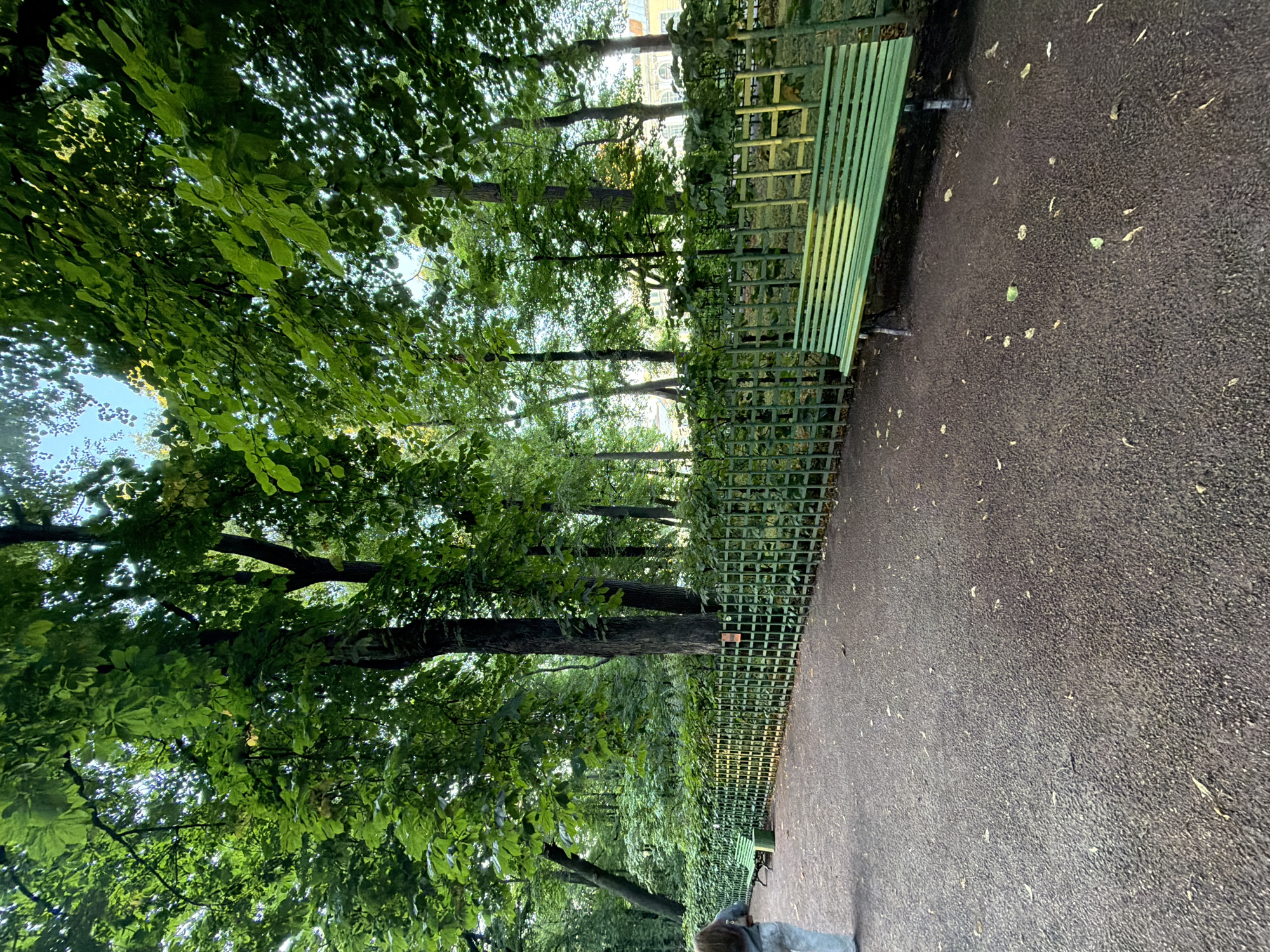 The image depicts a pathway in a park with abundant green foliage. A green metal fence with a checkered pattern runs along the right side of the path, with several green benches placed alongside it. One bench is prominently visible in the foreground, illuminated by sunlight. In the background, a person wearing light-colored pants and a gray top is walking away from the camera. Trees with dense green leaves fill the background, creating a shaded environment, with hints of buildings visible through the foliage in the distance. The pathway appears to be made of dark gravel. The lighting suggests it is daytime. The scene is likely within Saint Petersburg, Russia, given the architectural style of the distant buildings and the park-like setting often found in the city.