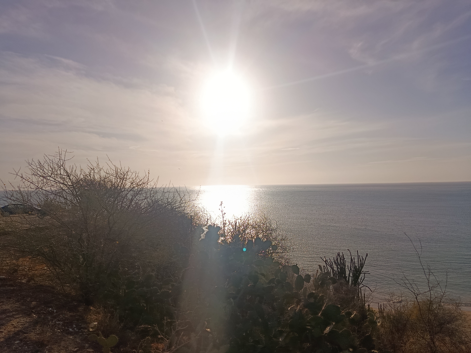 The image shows a bright, sunlit view of the sea in Juan Griego, Venezuela, likely taken from a coastal elevated location. The sun is high in the sky, causing glare and strong reflections on the water's surface. In the foreground, there is a dense collection of vegetation including cacti and shrubs. A section of beach is visible on the bottom right. To the left of the vegetation, a small section of car is visible. The sky is lightly clouded.