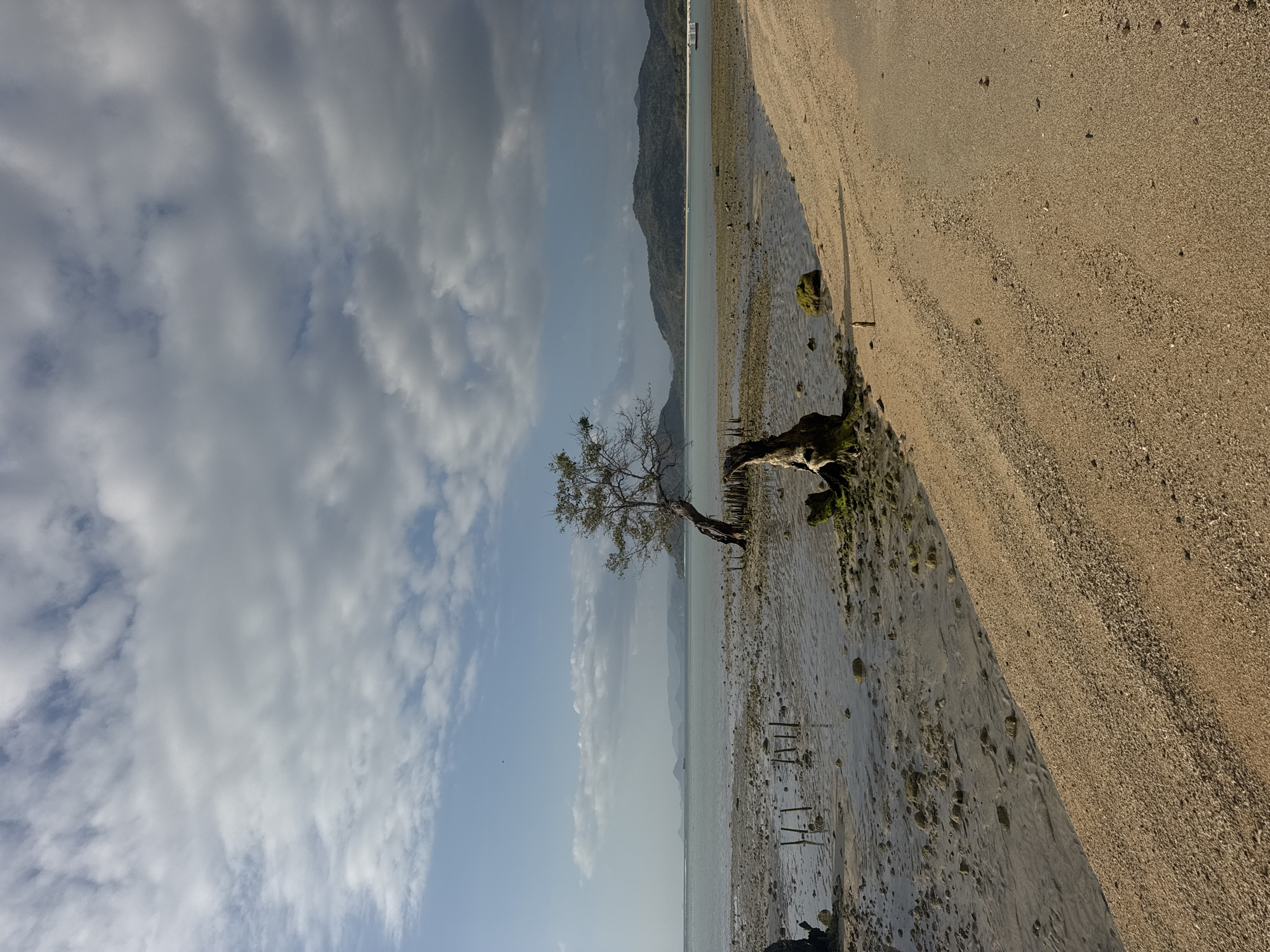 An overview shot captures a serene coastal scene with a lone, windswept tree dominating the foreground. The tree, tilted at an angle, stands on a muddy shore with shallow water reflecting the sky. Several wooden stakes are scattered in the water near the tree. The beach in the foreground is composed of sand and small pebbles. In the background, a calm body of water stretches to a distant, hazy mountain range. The sky is partly cloudy, with patches of blue visible between the white and gray clouds. A small boat can be seen in the distance on the water. The image appears to be taken in the daytime, with soft light illuminating the landscape. The location is identified as Unknown, Indonesia.