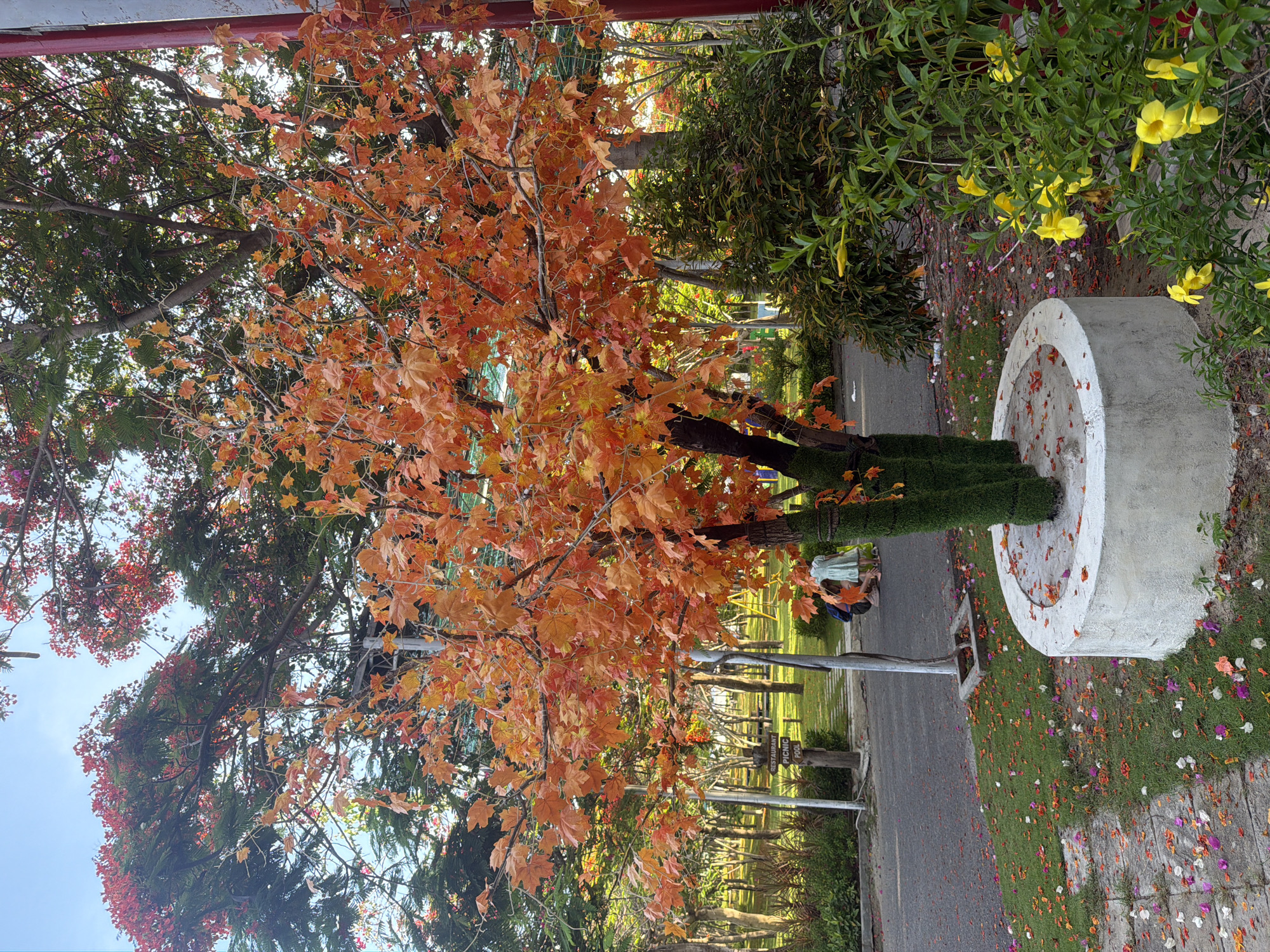 The image depicts a park scene in Dong Ninh Hoa Ward, Vietnam, featuring a prominent artificial tree with vibrant orange autumn-colored leaves. The tree is situated in a circular concrete planter, and its trunks are covered in green, artificial turf. Scattered around the base of the tree and on the adjacent grass are fallen leaves and flower petals in shades of orange, pink, and white. A paved pathway is visible to the left, with more fallen petals scattered on it. In the background, other trees with red and green foliage are visible, along with park amenities such as picnic tables and a swing set, suggesting a recreational area. Two young children, one in a light blue dress, are interacting near the base of the artificial tree. The sky above is clear and blue. A signpost indicating "RESTAURANT PICNIC POOL" is also present in the middle ground. Yellow flowers are blooming on a bush in the right foreground.