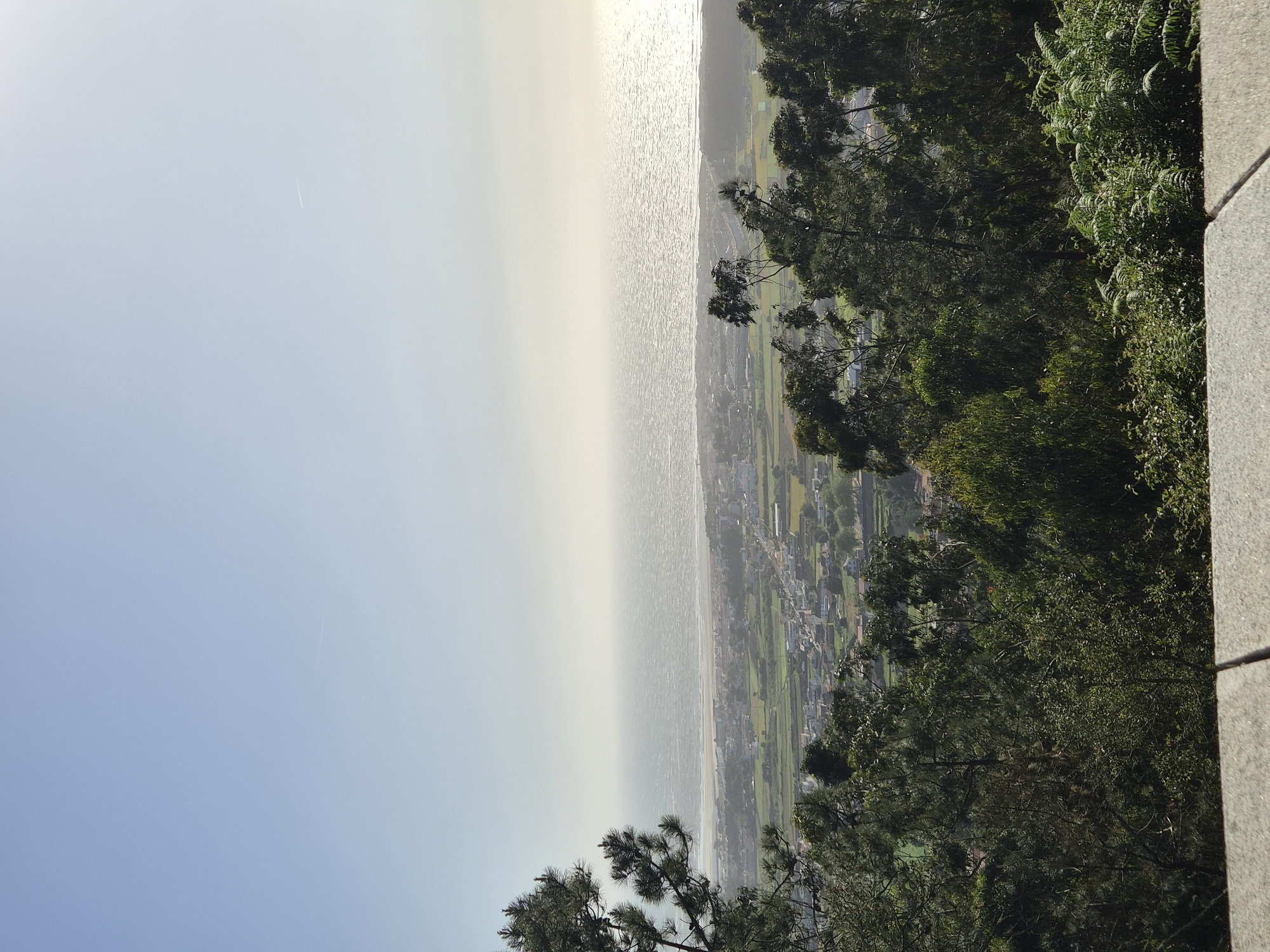 A coastal scene in Esposende, Portugal, is depicted from an elevated perspective. The ocean is adjacent to a coastline with buildings. Verdant trees and foliage dominate the right side of the frame, contrasting with a stone or concrete structure visible at the extreme right edge. In the distance, the sky is light with an aircraft's contrail, while the sea is reflective and slightly obscured by mist or haze.
