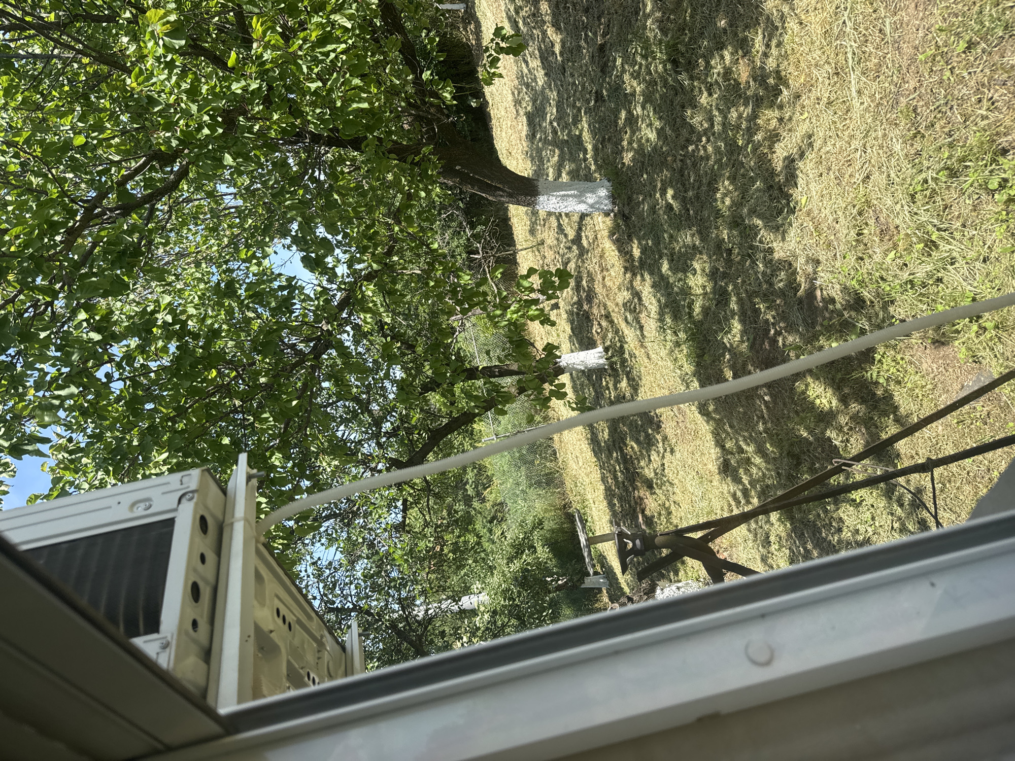 From the perspective of an open window with an installed air conditioning unit in Drenovets, Bulgaria, the view extends into a sun-dappled yard. Two trees with whitewashed trunks are visible. The grass is a mix of green and dry patches, with shadows cast by the trees. White power lines are also in view. A small picnic table is visible under the trees. The view is from a low vantage point, potentially at ground level.