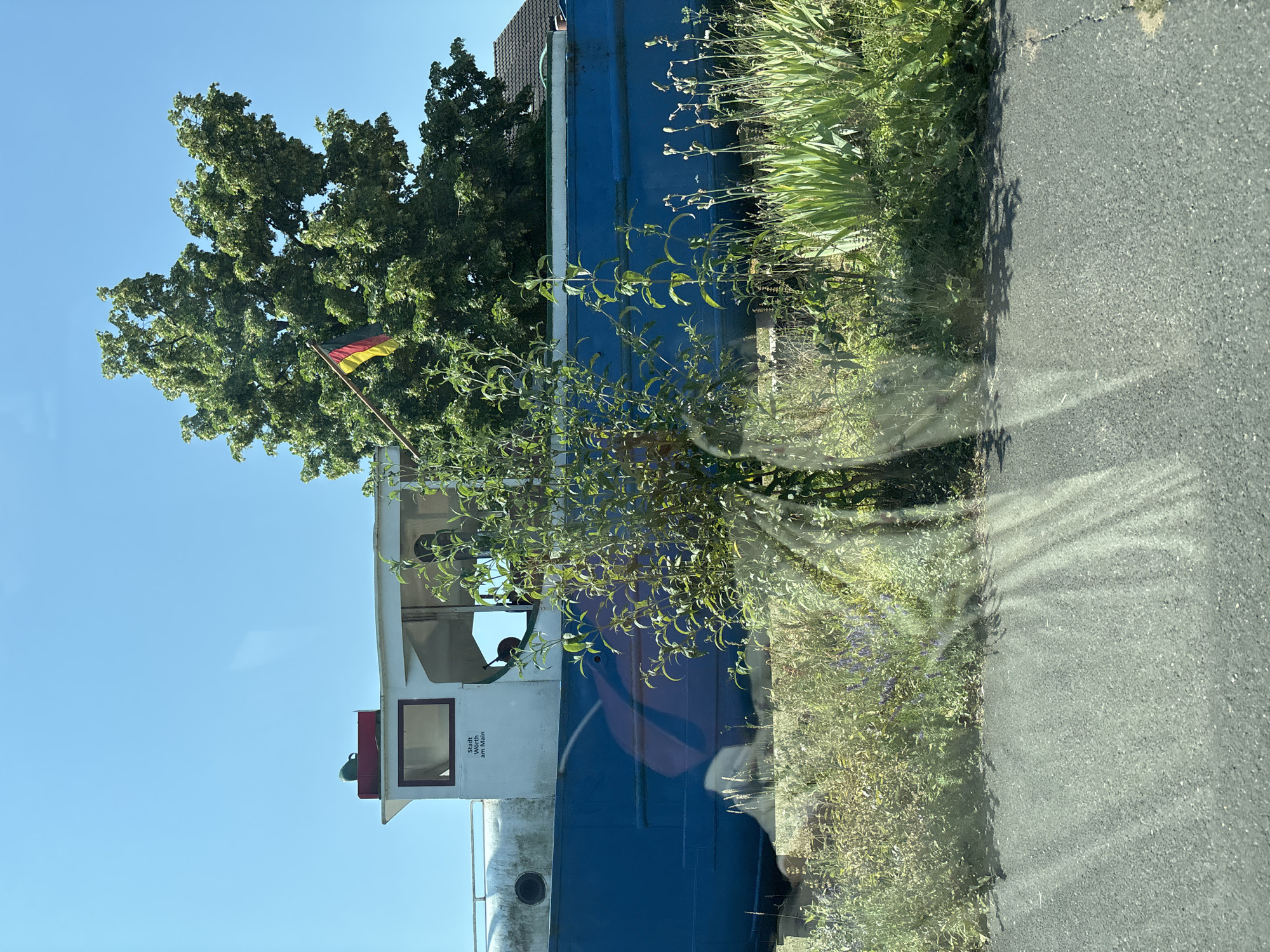 This is a photograph of a blue and white boat docked on land, with a German flag flying from a pole attached to the side of the boat. The boat has "Stadt Wörth am Main" written on its side. It is surrounded by overgrown vegetation and a paved surface in the foreground, suggesting a roadside or parking area. A large tree with lush green foliage is visible behind the boat. The sky is clear and blue. The scene is likely in or near Wörth am Main, Germany.