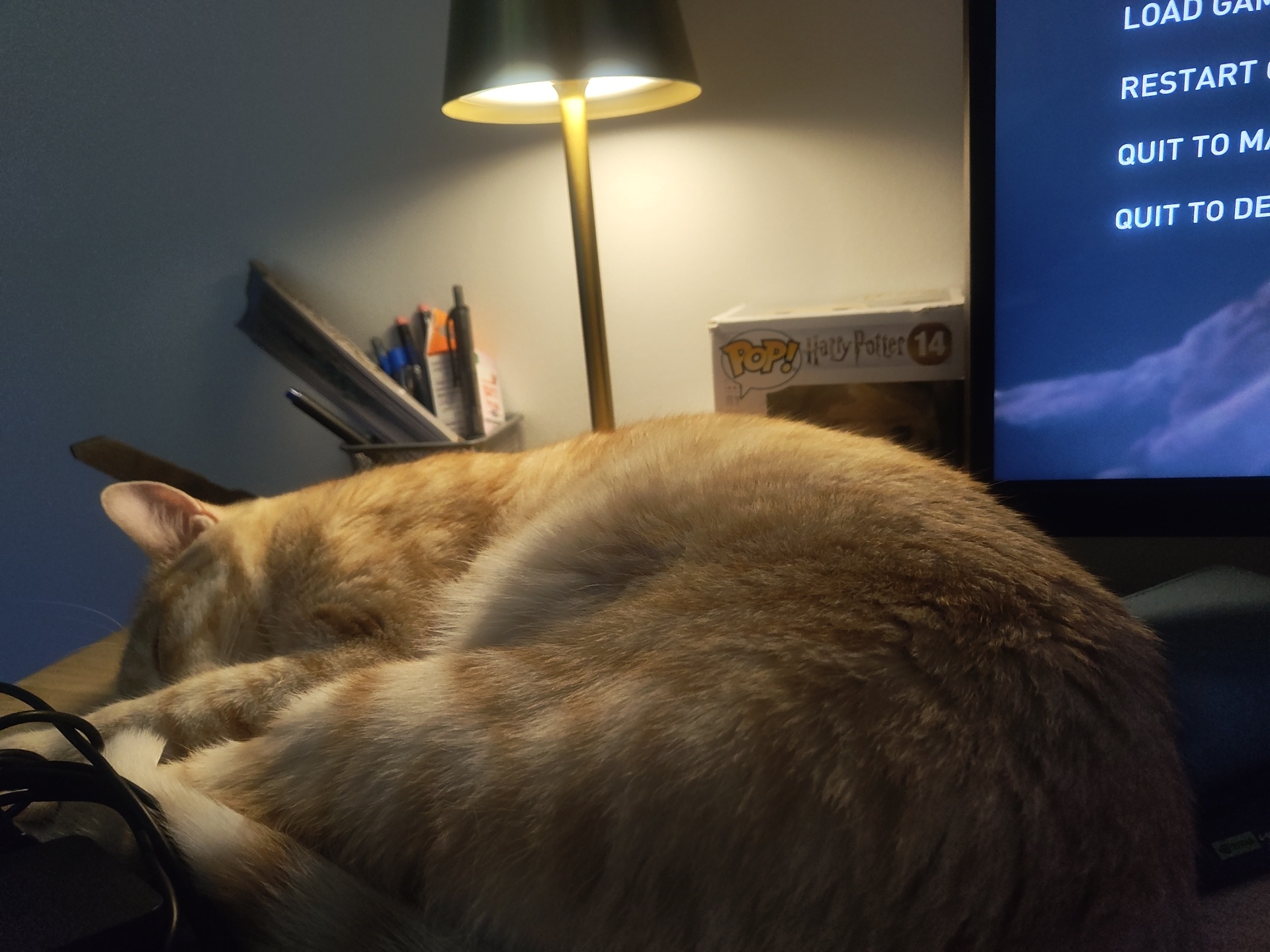 An orange tabby cat is curled up sleeping on a wooden desk. The cat is the main subject of the image. To the left of the cat, there is a pencil holder filled with pens and markers. Behind the pencil holder, a book is leaning against the wall. To the right of the cat, there is a light-up lamp illuminating the area. Further to the right, a box with "Pop! Harry Potter 14" is visible. In the background, a television screen displays a menu with options like "LOAD GAM," "RESTART O," "QUIT TO MA," and "QUIT TO DE." The scene appears to be indoors, possibly in a home or office setting. The location in the city of Kelowna, Canada, is not provided in the image or its description.