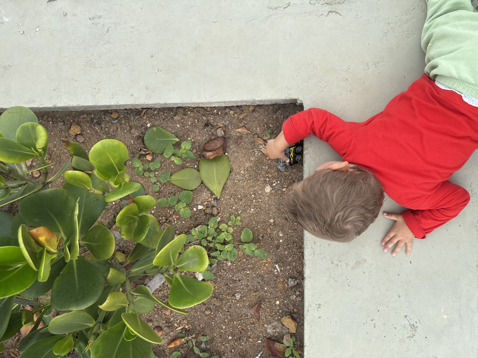 A young child in a red long-sleeved shirt and light green pants lies on a concrete surface. The child is facing down, looking at a toy truck in their right hand. To the left of the child is a garden bed with dirt, small plants, and a larger leafy plant. The concrete surface is a light gray, and the garden bed is bordered by a concrete curb. The overall scene appears to be outdoors.