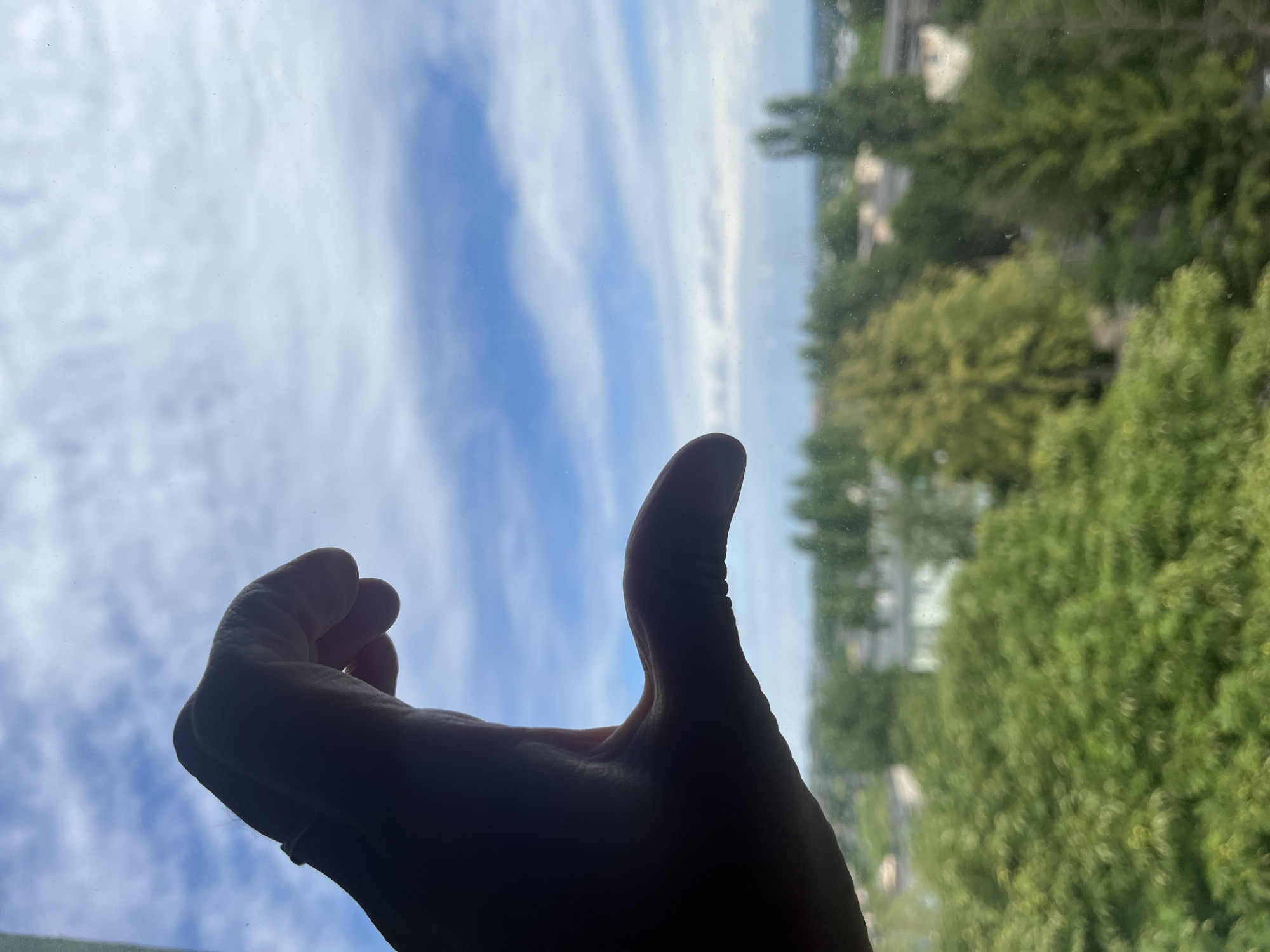 A close-up, silhouetted shot shows a person's hand forming a half-heart shape against a bright, cloudy blue sky. The hand is in the foreground on the left side of the frame, with its thumb and index finger curved to create the shape. A ring is visible on the ring finger. Beyond the hand, a blurred landscape of green trees, buildings, and distant structures extends across the horizon. The overall impression is a serene outdoor scene, possibly viewed from a window.