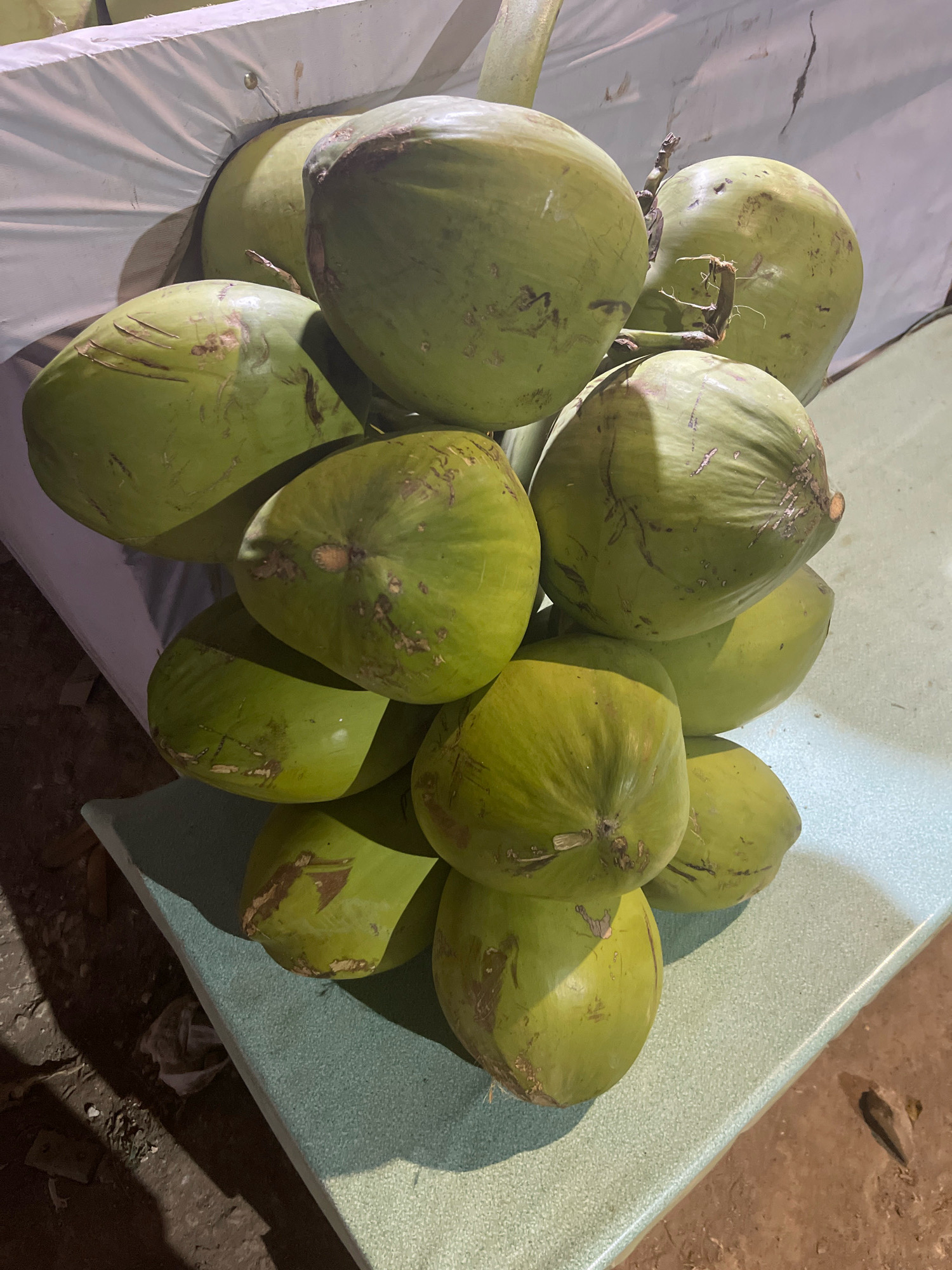 A cluster of green coconuts is displayed on a light green, textured surface, possibly a table. The coconuts are round to oval in shape and vary in size, with some showing slight imperfections and brown markings on their husks. They are arranged in a cascading manner, with stems connecting them. In the background, a white, draped material is visible, suggesting an outdoor market stall or a temporary setup. The lighting suggests it might be evening or nighttime, with shadows cast on the ground. The surrounding environment appears to be a dirt or unpaved area, characteristic of a market in a rural or semi-urban setting. The presence of coconuts is common in many parts of Indonesia, including Ciamis, where they are a popular beverage and ingredient.
