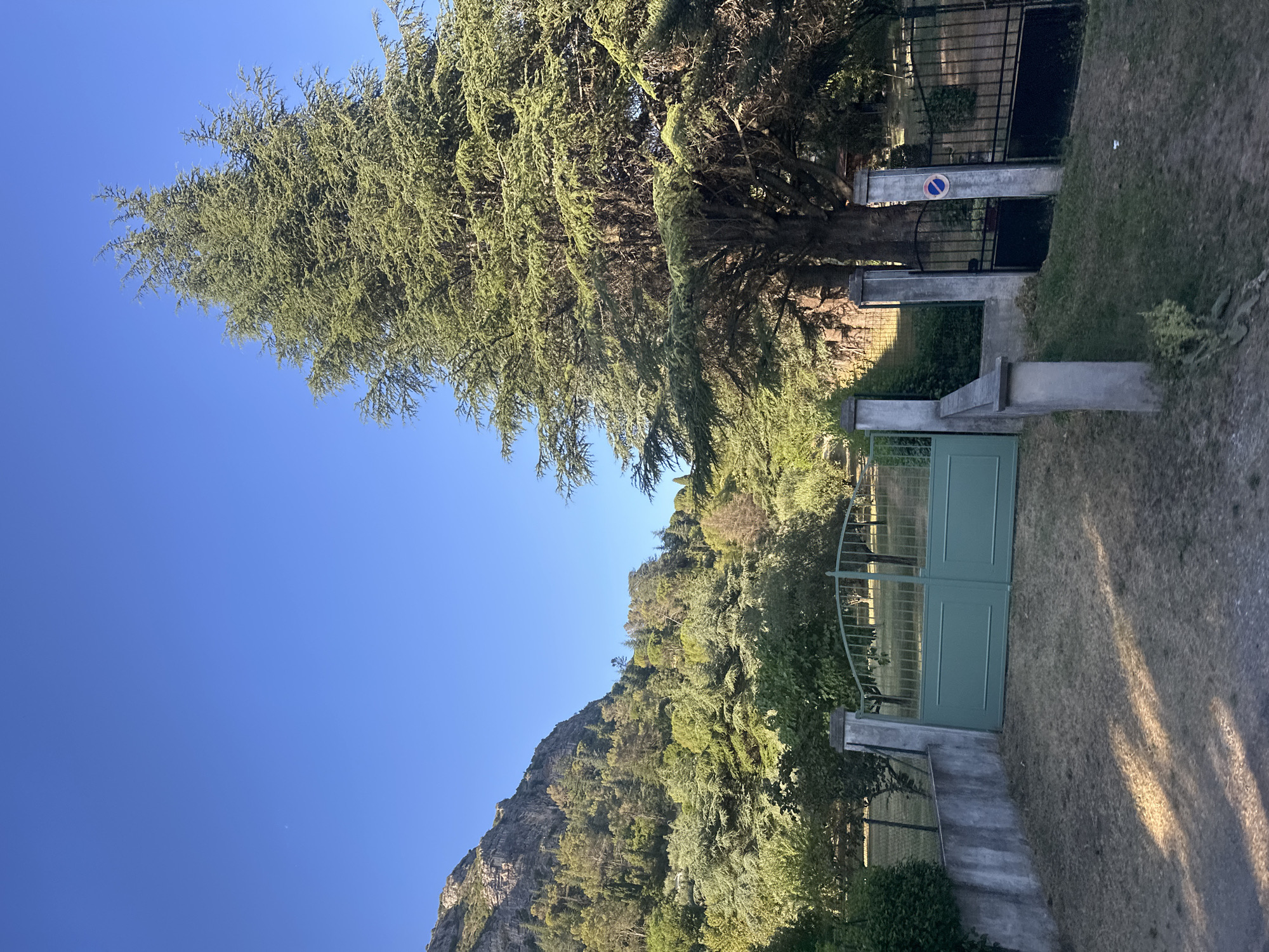 This media file features an outdoor scene on a sunny day, with a bright blue sky dominating the upper left quadrant. A large, mature evergreen tree with feathery foliage extends from the top center towards the left. Its branches cast dappled shadows on the ground.
In the mid-ground to the right, a tall, rocky mountain slope is covered in lush green vegetation and trees. At the base of the mountain, a pathway or road leads to a set of green double gates, flanked by concrete pillars. A black metal fence is visible behind the gates, and further back, another black metal fence encloses a garden area. A small, circular sign with a red border and a blue center, likely a traffic sign, is attached to one of the pillars near the gates.
The ground in the foreground and around the gate area is covered in dry, yellowish-brown grass. The overall impression is of a serene, natural landscape with a touch of man-made structure. The sunlight suggests it is daytime, likely late afternoon due to the angle of the shadows. There are no people visible in the image.
