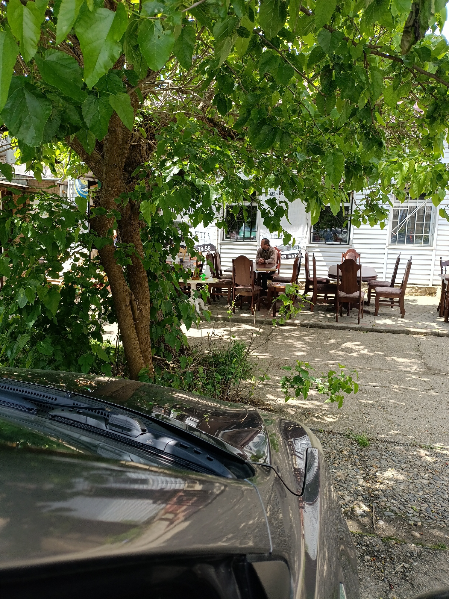 The image presents an outdoor scene in Goryachiy Klyuch, Russia, showcasing a partially visible car in the foreground, a tree providing shade in the middle ground, and a white, wooden-clad building with windows and outdoor seating in the background.
The car is a dark color and occupies the lower portion of the frame.
A tree with dense green leaves offers shade over the area, partially obscuring the view of the building.
The building has a sign with Cyrillic text. Several wooden tables and chairs are arranged outside the building. A man is seated at one of the tables.