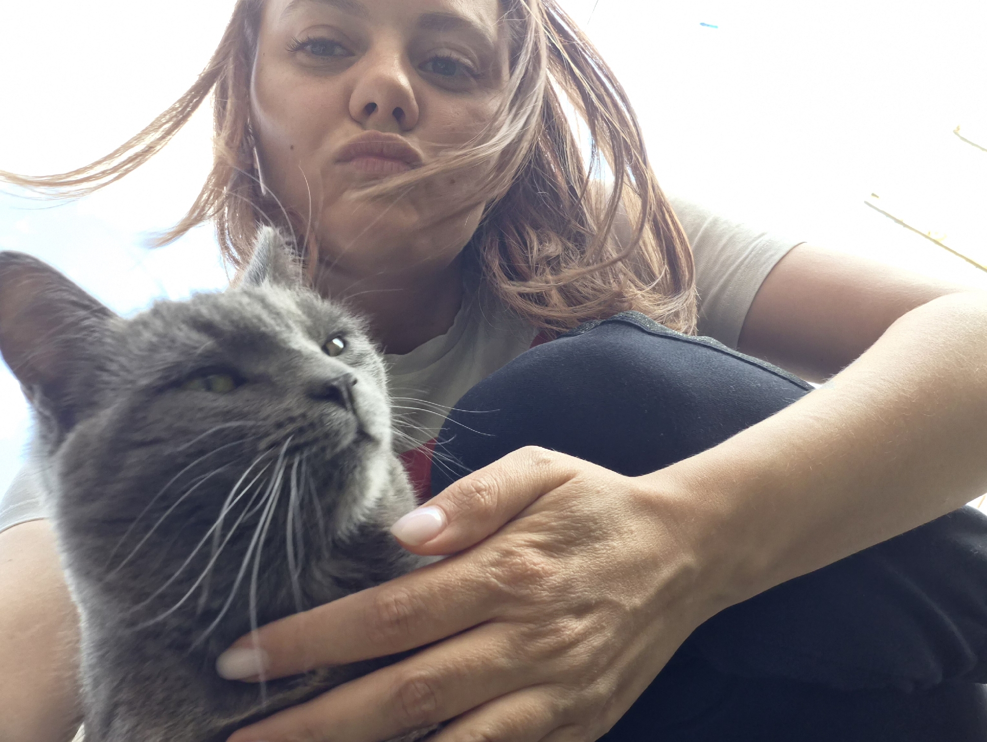 A woman with light brown hair is taking a selfie with a gray cat. She is holding the cat with her right hand and is puckering her lips. The cat is looking upwards and to the left. The woman is wearing a light-colored t-shirt and dark pants. The background is bright, possibly outdoors with a glimpse of the sky. The location is not discernible from the image.