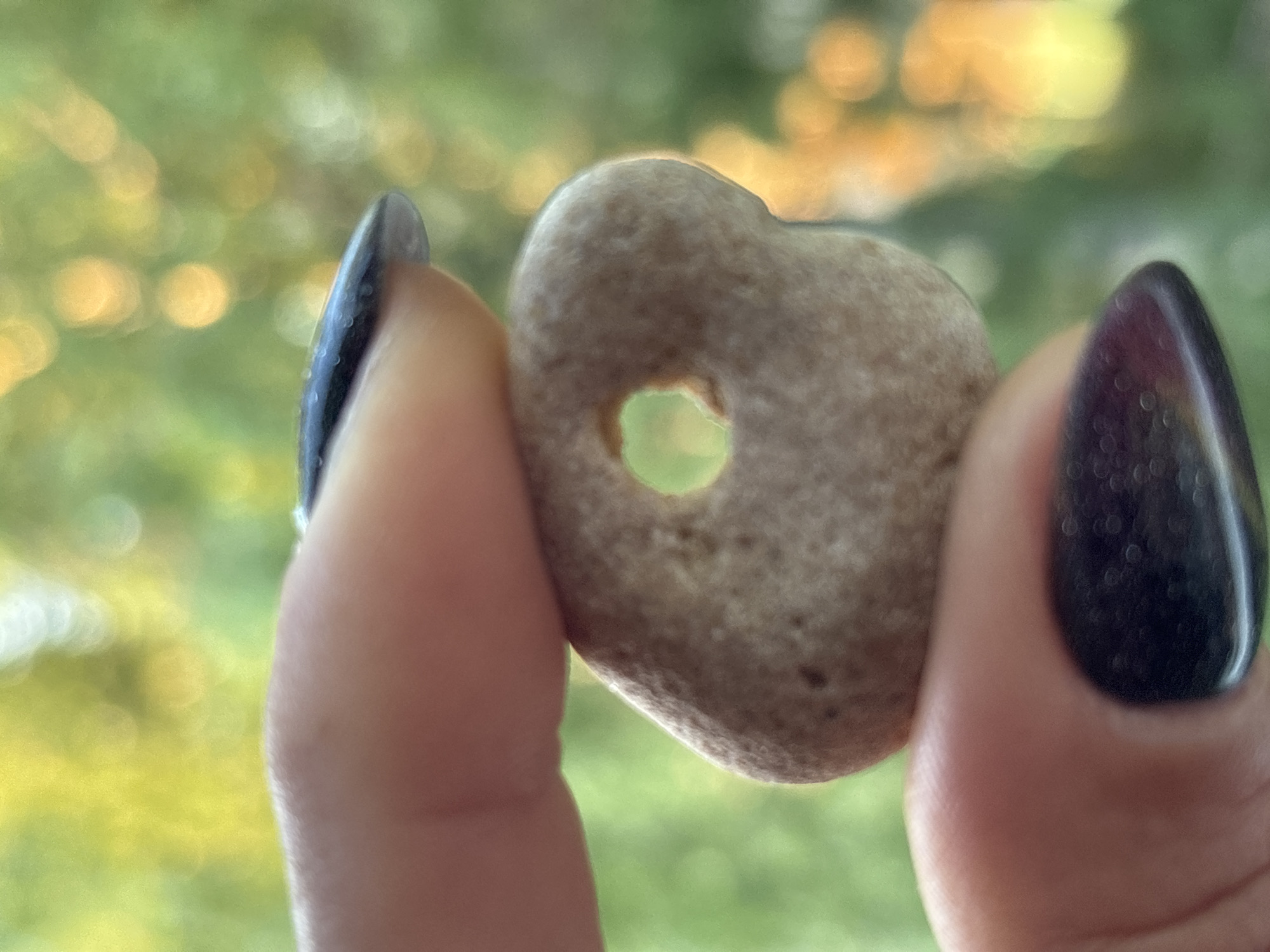 A close-up shot shows a person's fingers holding a small, light brown, naturally-formed stone with a hole in the center. The stone is irregular in shape and has a slightly rough texture. The fingers are manicured, with dark polish on the fingernails. The background is blurred, showing green foliage and bokeh lights that suggest an outdoor environment, possibly a park or garden. There is no discernible location information for Chaikovsky, Russia.