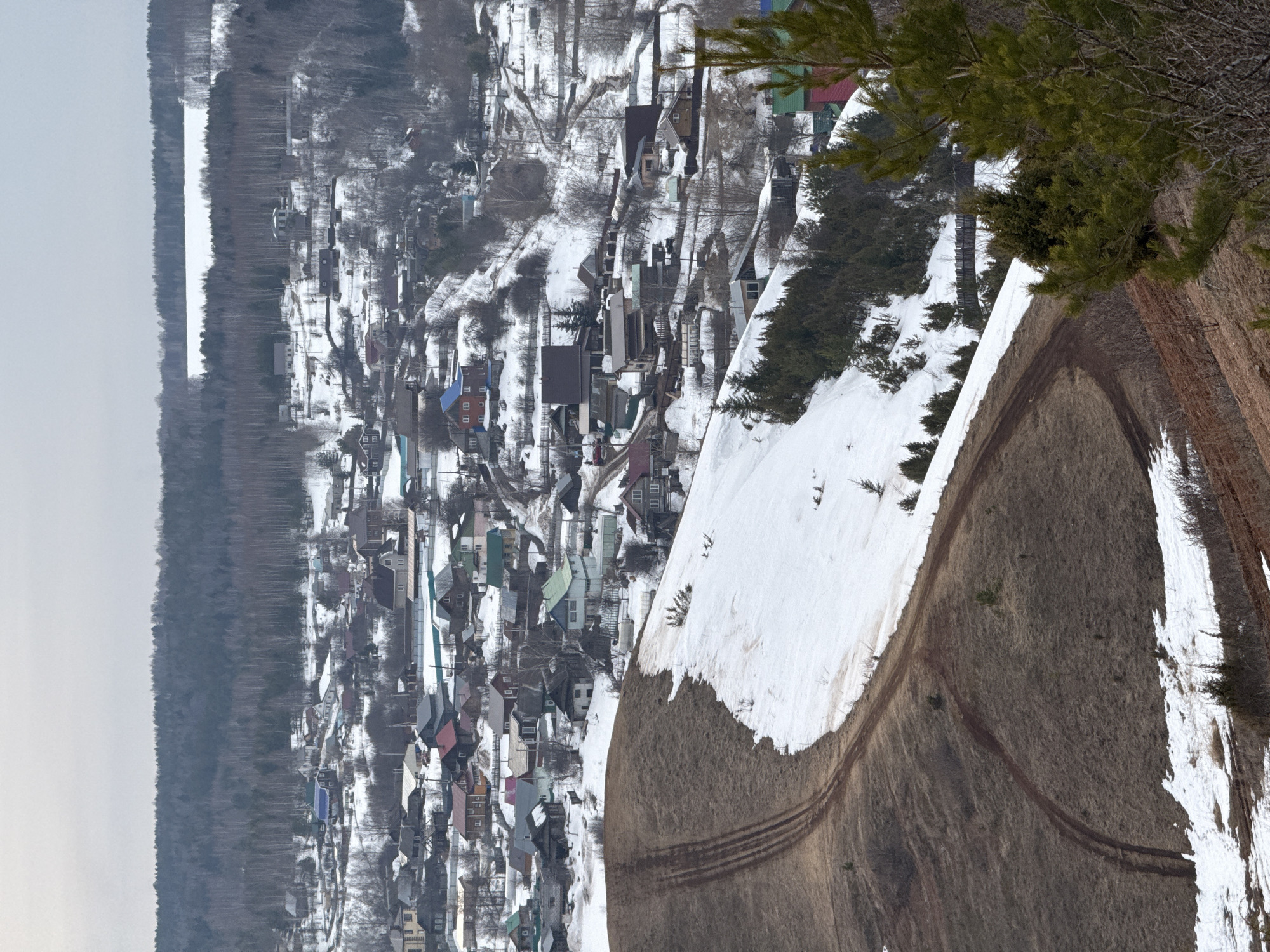 The image presents an elevated, wide view of the village of Ольховка, Russia, under an overcast grey sky, indicative of late winter or early spring conditions. The foreground features a steep hillside, partially covered in irregular patches of melting snow and brown, dry vegetation, traversed by multiple dirt tracks. The midground encompasses the village itself, consisting of numerous residential structures of varying sizes and roof colors (including blue, green, red, and brown), densely clustered across snow-dusted, undulating terrain. Bare deciduous trees are scattered throughout the village, alongside some evergreen vegetation. Roads and paths are visible winding between properties, exhibiting snow cover and bare patches. The background is dominated by a dark, dense forest line stretching across the horizon, behind which a large, flat expanse of snow-covered ground or water is visible to the upper right. No individuals or specific actions are discernible within the frame.