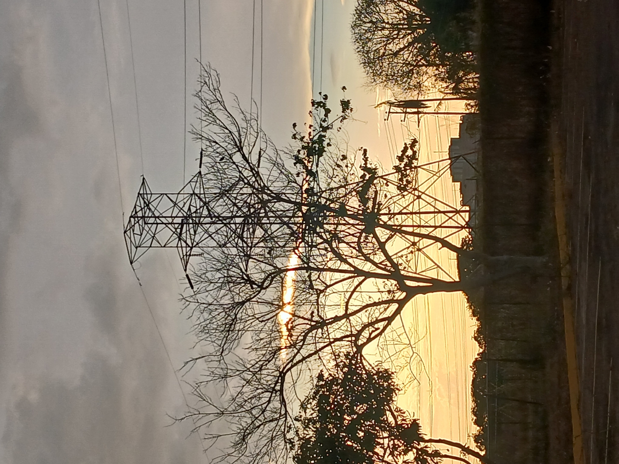 This image depicts a landscape scene at either sunrise or sunset, characterized by strong backlighting that silhouettes the foreground elements. A prominent, lattice-style electricity transmission tower stands on the left side of the frame, with multiple power lines stretching horizontally across the sky. Several trees, some bare and others with sparse foliage, are silhouetted against the bright sky, occupying the central and right portions of the image. The sun, or the brightest part of the sky, appears low on the horizon towards the right, casting a warm, golden-orange glow that contrasts with the cooler, cloudier sky visible in the upper left. A dark strip on the far right likely represents a road or roadside embankment. The scene captures a moment of natural light and infrastructure, without any human activity or discernible figures. No visible text is present in the image.