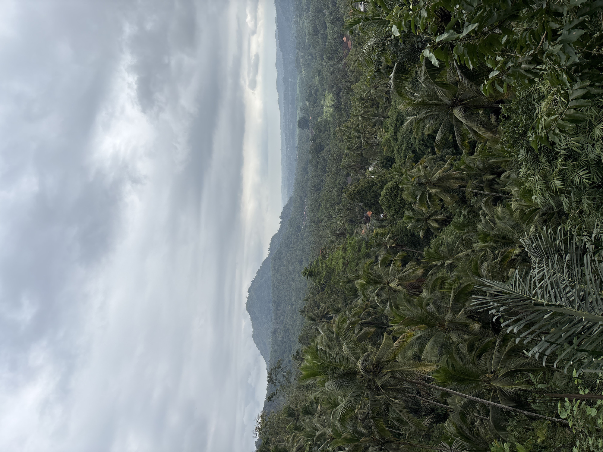 This image shows a lush, verdant landscape with a prominent mountain in the background, likely located in Sidemen, Indonesia. The foreground is dominated by dense tropical foliage, including numerous palm trees with their characteristic fronds. Scattered throughout the landscape, particularly in the mid-ground and distance, are hints of human habitation with glimpses of buildings and structures, possibly indicating a village or small town nestled within the jungle. The sky above is overcast with heavy, gray clouds, suggesting a cloudy or possibly rainy day, which contributes to the diffused light and muted colors of the scene. The overall impression is one of a rich, natural environment with evidence of human presence integrated into the landscape. There are no people visible in the image.