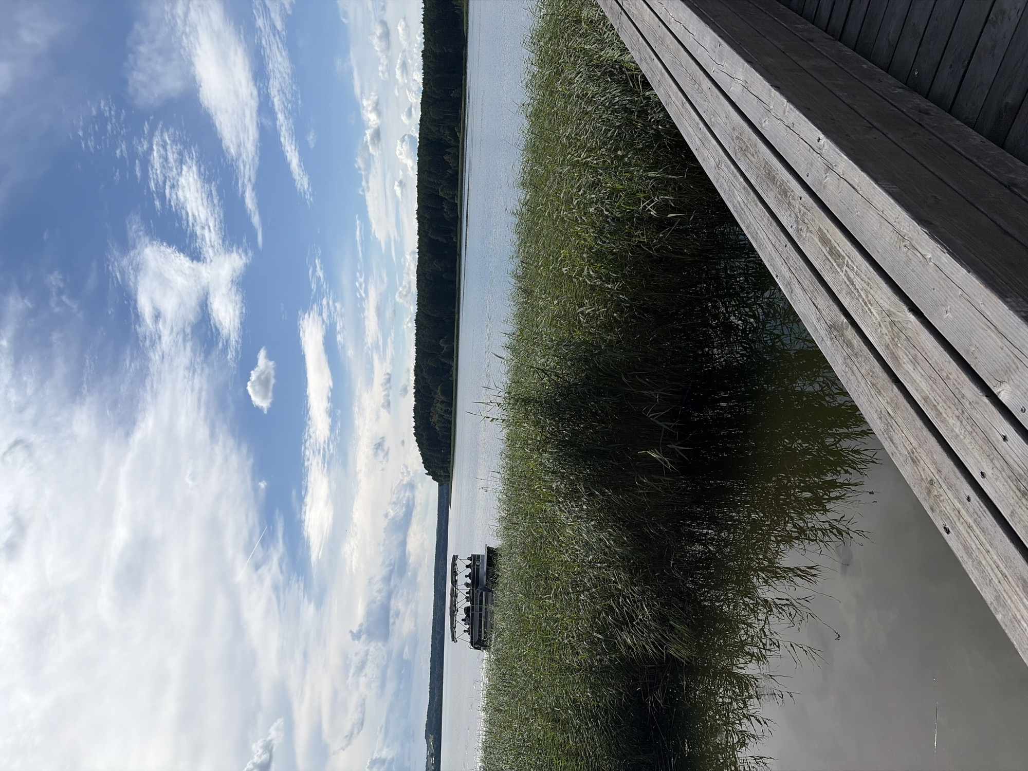 The image shows a pontoon boat with several people on board sailing on a lake, with tall reeds lining the shore. In the foreground, a wooden walkway extends into the scene. The background features a dense forest. The sky is partly cloudy with patches of blue. The scene is likely set in Votkinsk, Russia, a city known for its lakes and natural scenery. The time of day appears to be daytime, possibly late morning or afternoon, given the lighting.