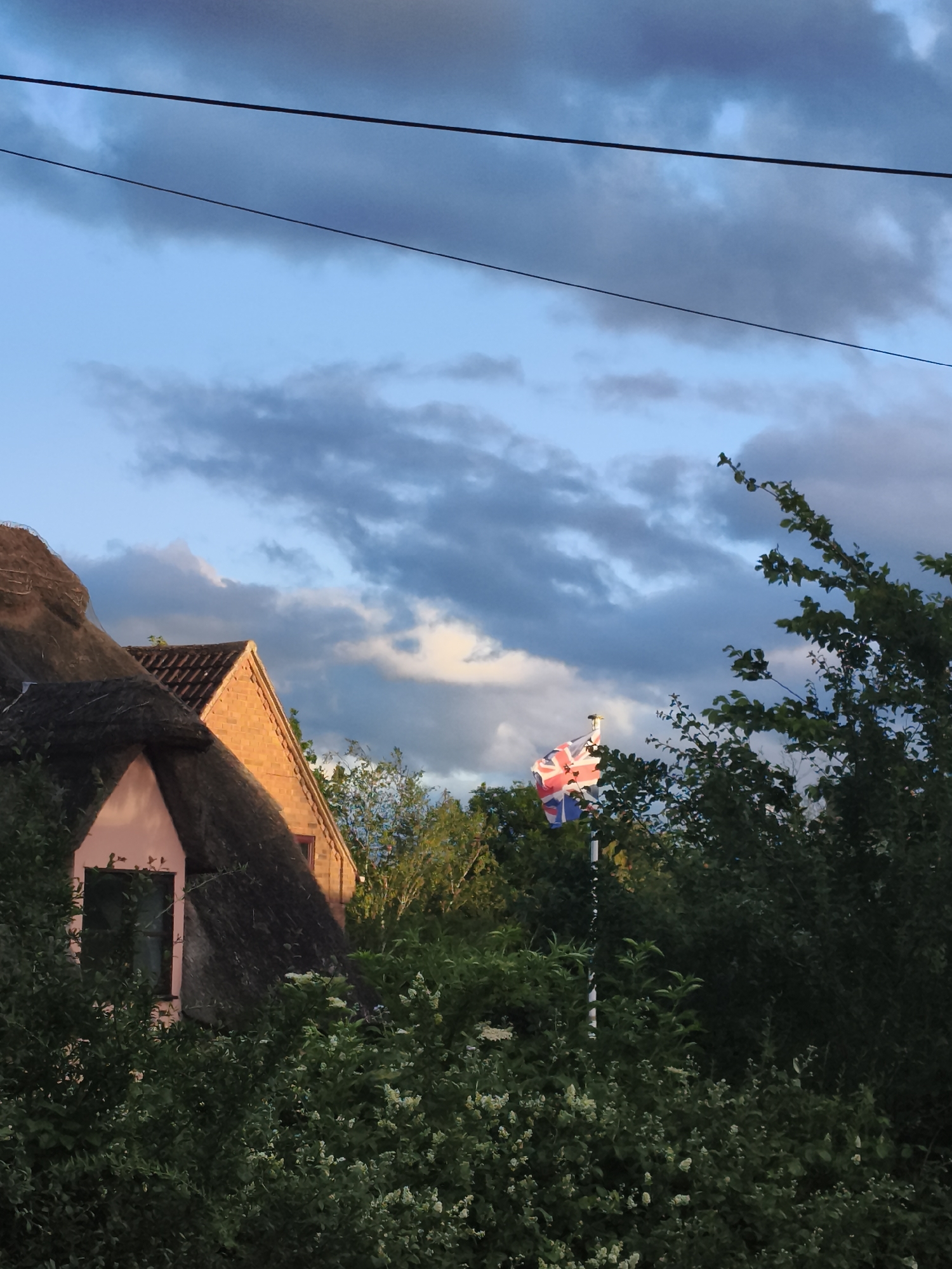 A rural or semi-rural scene in Huntingdonshire, United Kingdom, is depicted during what appears to be the golden hour, casting warm light on a traditional thatched-roof house. The house features brick gables and a distinctive dormer window with a pink-painted facade, partially hidden by lush green bushes and trees.
The sky is a mix of clear blue patches and scattered grey clouds. Two dark power lines traverse the upper part of the frame. To the right of the image, amidst dense foliage, a Union Jack flag is seen flying on a flagpole, its red, white, and blue colors prominent against the sky and greenery. The flag suggests a light breeze is present. The foreground is dominated by various green plants, some with small white flowers. No people or visible text are present in the image.