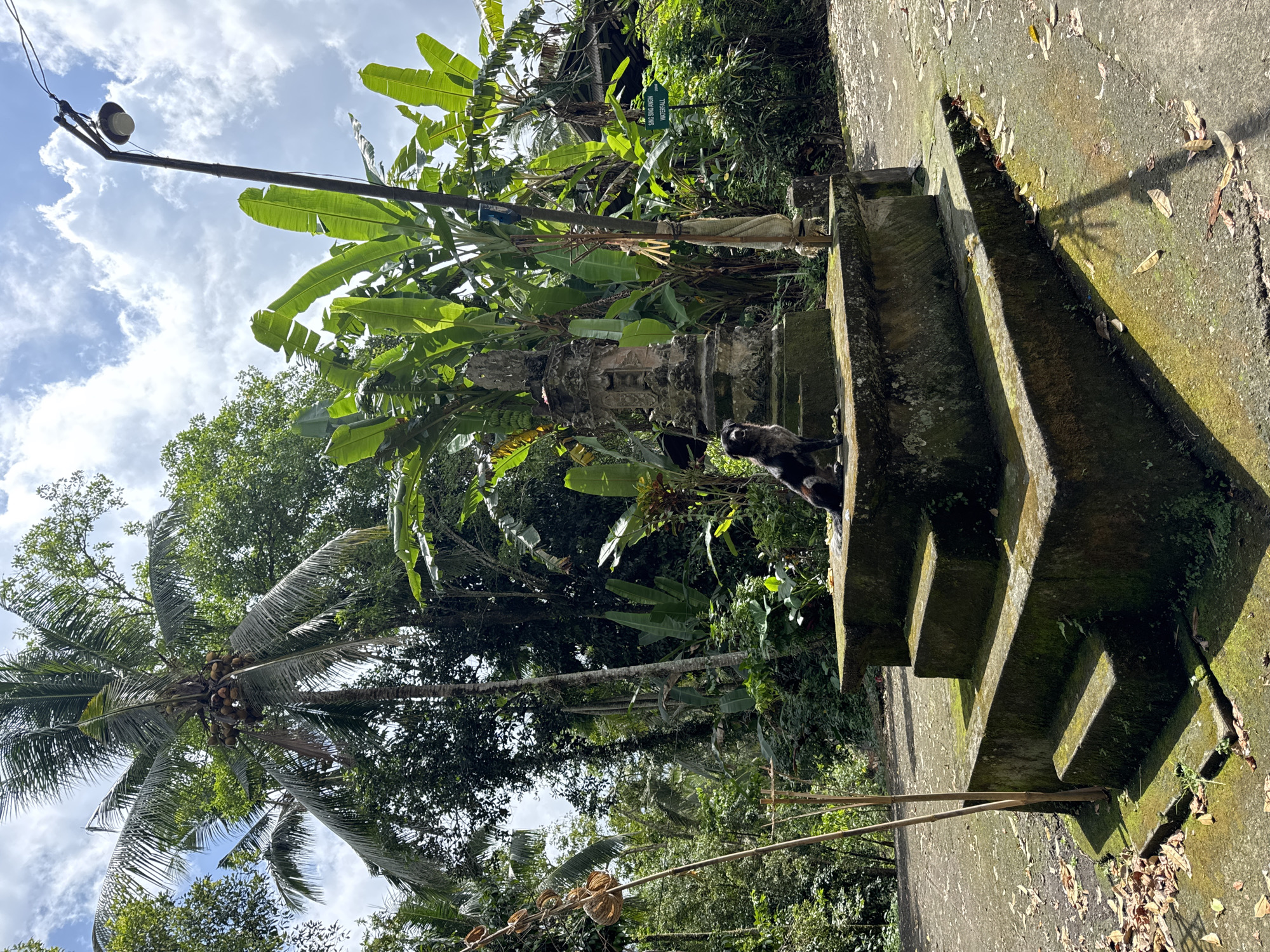 The image depicts a tropical landscape with a set of stone stairs in the foreground. The steps are covered in moss and cast shadows. A monkey is situated at the top of the stairs. Lush greenery including banana trees and a coconut palm dominate the background. Overhead is a cloudy sky. A street lamp stands to the left of the stairs. A sign indicating "Singsing Airin Waterfall" is visible, placing the location near a waterfall. Based on the location data, this scene is likely in Selemadeg, Indonesia.