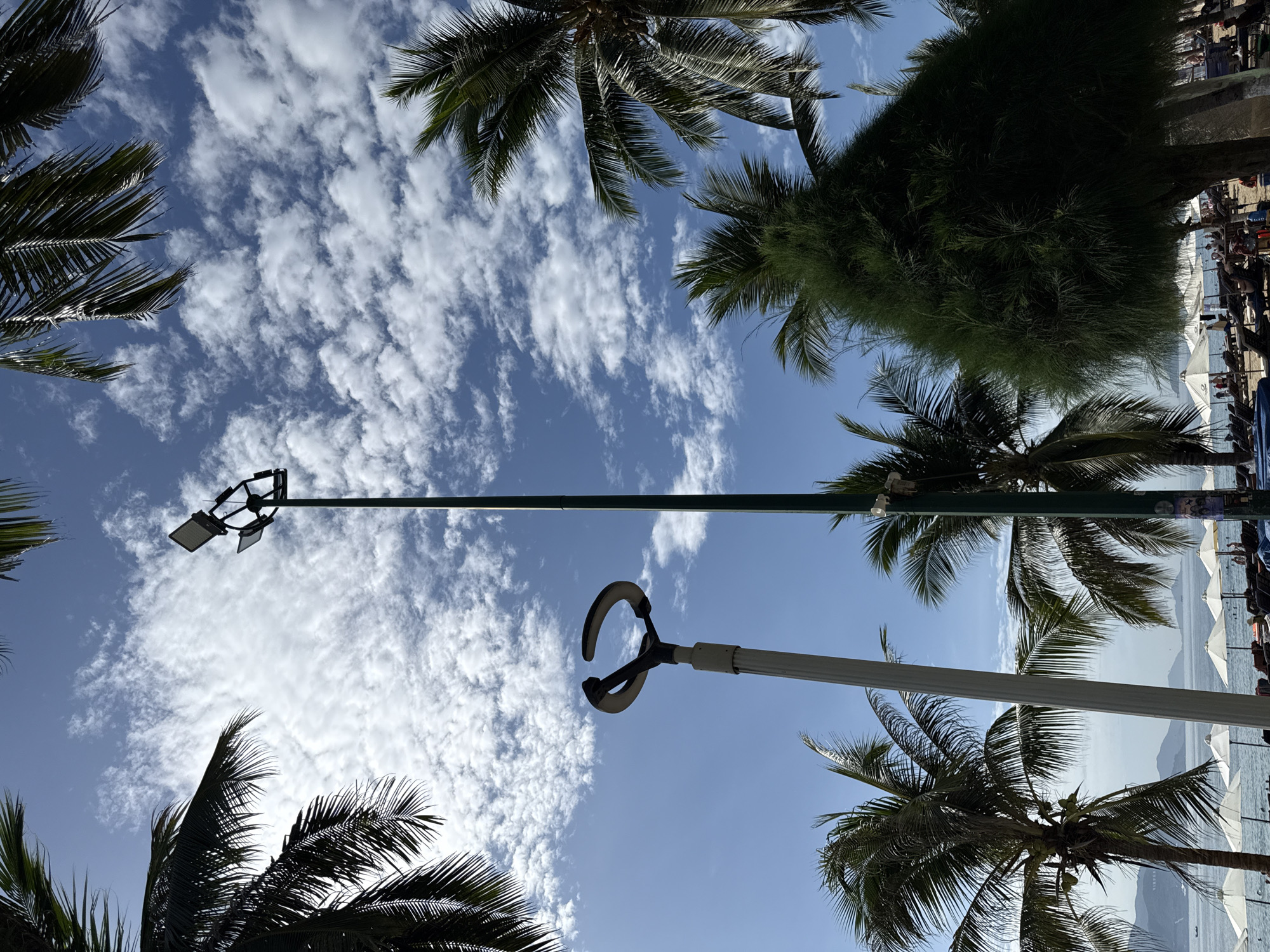 This is a low-angle, vertical, full outdoor shot of a beach scene in Nha Trang, Vietnam, with a bright blue sky and scattered white clouds. In the foreground, silhouetted palm fronds frame the top of the image. In the center of the frame, a tall, dark green lamppost with multiple spotlights at its apex stands prominently against the sky. To the left of this lamppost is another, shorter lamppost with a unique, curved, dark grey fixture at the top. Palm trees are visible on the left and right sides of the frame, with one particularly dense, dark green coniferous tree dominating the right side of the mid-ground. In the background, the calm ocean stretches out, with a distant shoreline and mountains visible. A few white beach umbrellas and lounge chairs are scattered on the sandy beach, with a few people visible in the distance. The overall atmosphere is sunny and tropical.