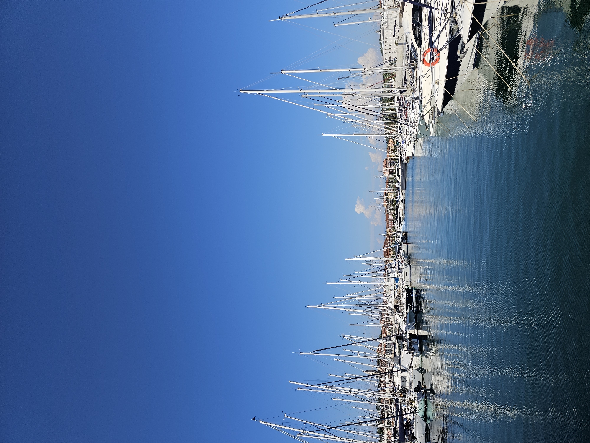 This image captures a serene view of a marina filled with numerous sailboats docked under a clear blue sky. The boats, primarily white with tall masts, are lined up neatly in the calm, blue water, their reflections shimmering on the surface. In the background, a picturesque town with colorful buildings and some trees can be seen, adding a touch of charm to the scene. The marina is located in Jagodje, Slovenia, a coastal town known for its beautiful waterfront. The overall atmosphere is tranquil and idyllic, suggesting a peaceful day at the harbor.