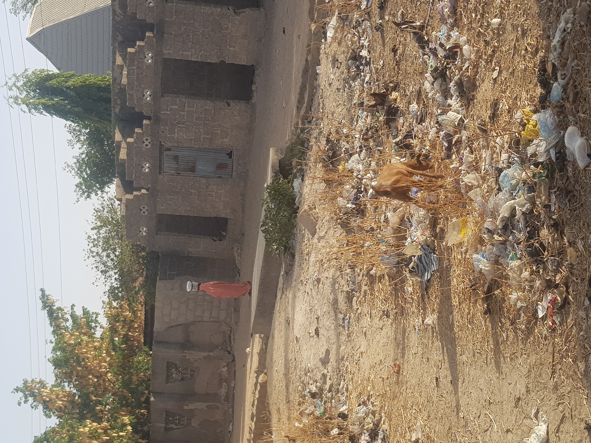 The scene depicts an outdoor view in Dutsinma B, Nigeria. The environment shows visible signs of waste accumulation on the ground. A person is observed walking along a pathway near a brick building. The structure appears to be adjacent to vegetation. A dead dog is lying amidst the trash.