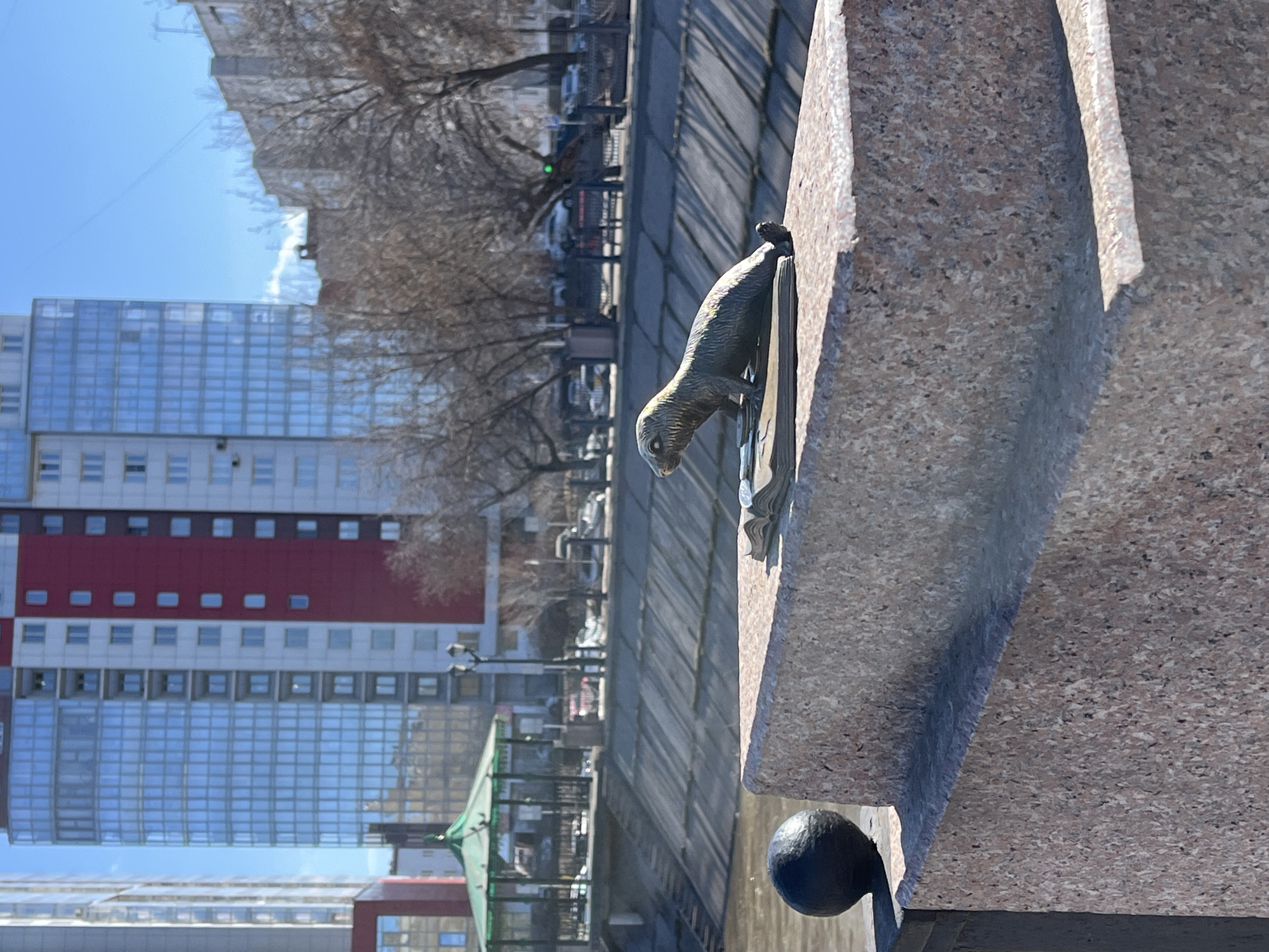 A bronze statue of a seal sits on a stone ledge alongside a river. The water is visible along with architectural elements of a building across the river, including glass panels and a red-colored section. Bare trees and blue skies are visible above the buildings. The statue depicts a seal facing left with its front flippers resting on a book. The backdrop features the urban landscape of Krasnoyarsk, Russia.