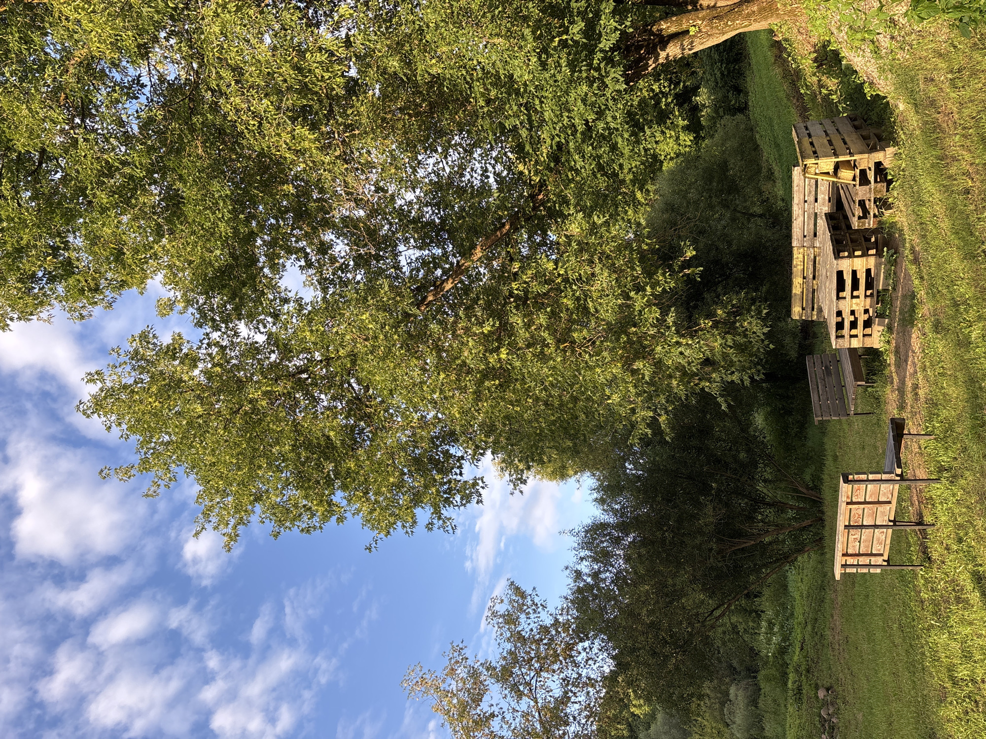 An outdoor seating area is depicted in a park or recreational space in Zvenigorod, Russia. In the foreground, two wooden benches are visible. The bench on the left is made of wood and metal, with a slatted backrest. To its right, a seating arrangement is constructed from wooden pallets, forming a table and benches. Behind this, another wooden bench is partially visible. The area is covered in green grass, with sunlight casting long shadows, indicating it is late afternoon or early evening. Towering trees with lush green foliage dominate the background and sides of the image. The sky is a clear blue with scattered white clouds. The environment suggests a natural, serene setting, likely within a park or along a riverbank given the presence of trees and open grassy areas. There are no people present in the scene.