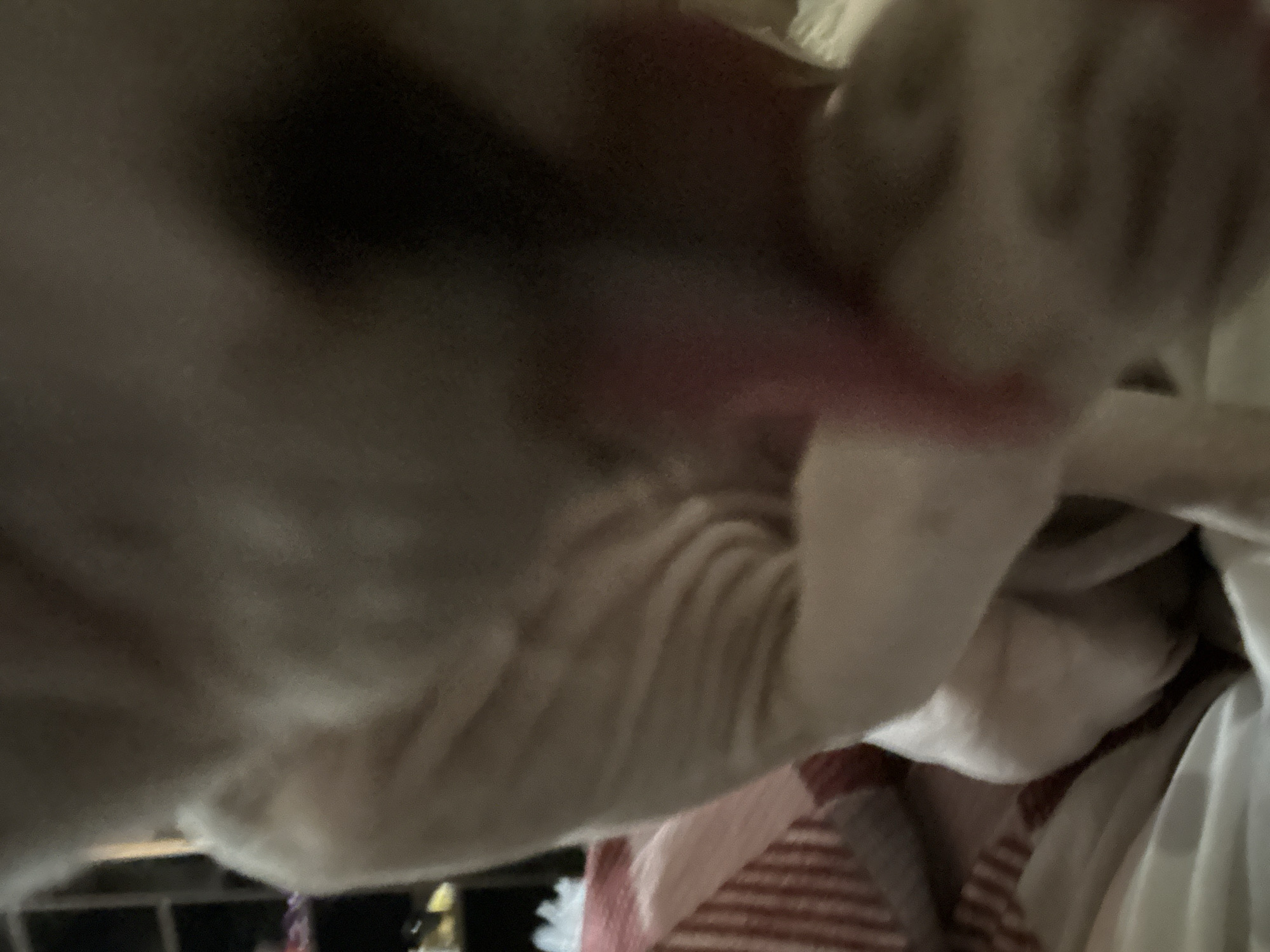 The image is a close-up, blurry, and poorly lit photograph of a portion of a light-colored animal, likely a dog or cat, with some pinkish areas visible on its skin. The animal appears to be lying on a surface with red and white striped fabric. There are also some shelves with items visible in the blurred background. The location in the city of Togliatti, Russia, cannot be determined from the provided image.