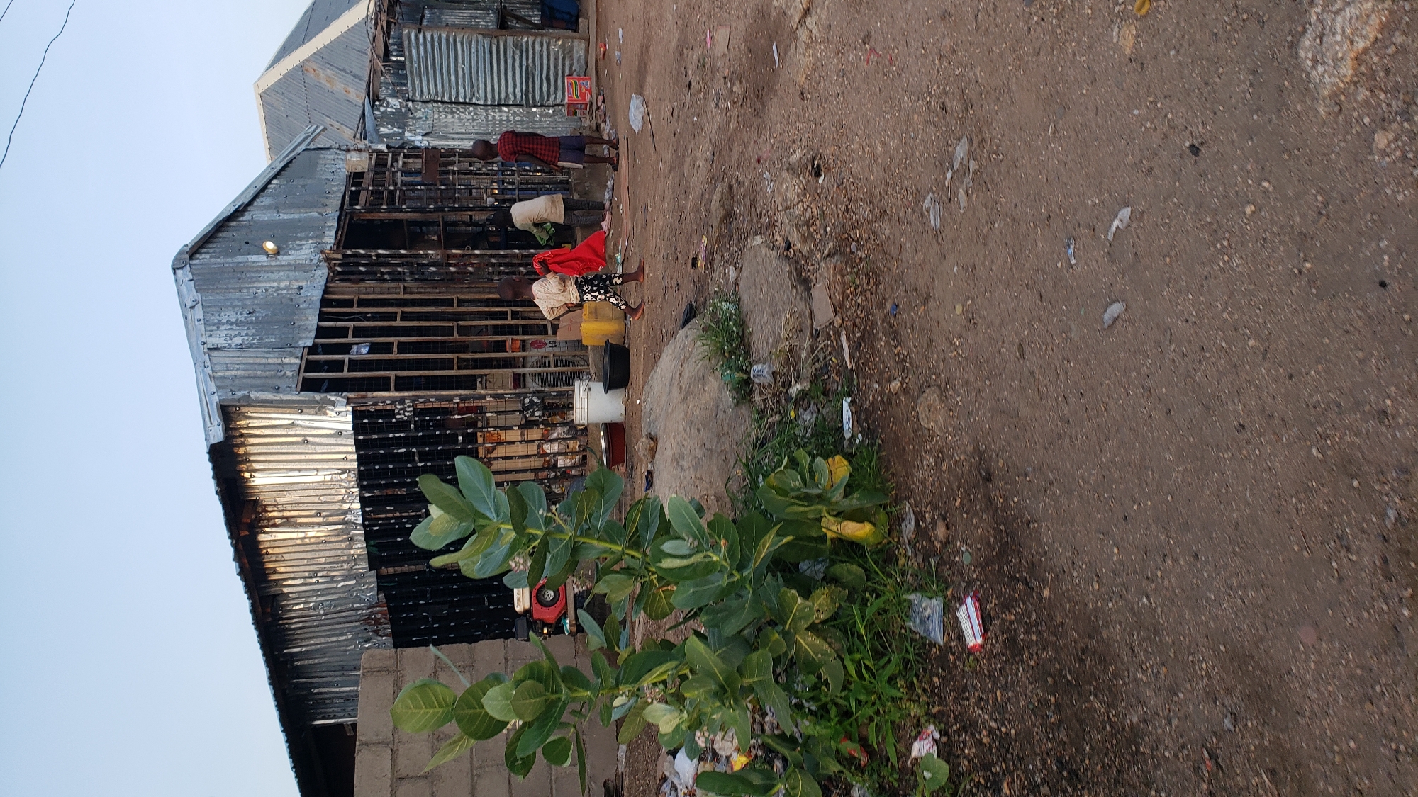 In Jauro Yinu, Nigeria, a scene unfolds with a focus on a makeshift structure and its surroundings. The structure, made of corrugated metal and supported by metal bars, appears to be a shop or a dwelling. A large, leafy green plant stands prominently in the foreground, partially obscuring the view of the building. The ground is a mixture of dirt and gravel, littered with various debris, including plastic bags, wrappers, and discarded items.
Several children are visible near the structure. One child, wearing patterned pants and a light-colored top, is walking with a red cloth in hand. Another child, dressed in a red and black plaid shirt and shorts, stands looking towards the building. A third child, wearing a light-colored shirt and darker pants, is also present. Behind them, inside the open structure, other figures can be vaguely seen.
In the background, more corrugated metal structures suggest a densely built area. The sky above is a clear, pale blue, indicating daylight. The overall impression is one of a community built with readily available materials, with children actively present in the environment.
