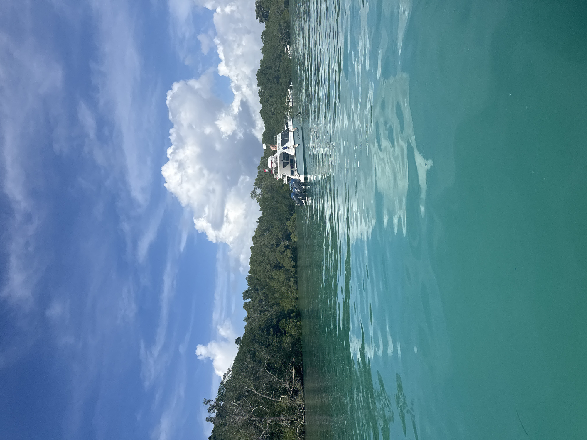 The image depicts a body of water with a boat docked near a lush, green shoreline under a blue sky with scattered clouds. The water is a clear, turquoise color with subtle ripples. The boat is white with some blue accents and appears to be a mid-sized vessel. The shoreline is densely covered with trees and vegetation, creating a verdant backdrop. The sky features a mix of clear blue areas and fluffy white clouds, contributing to a bright and sunny atmosphere. The location is Nusa Penida, Indonesia.
