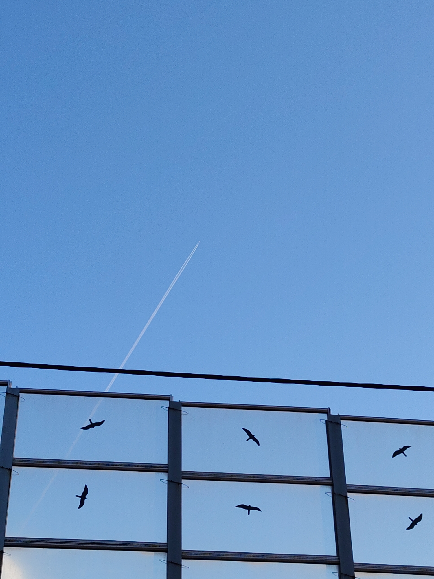 The image shows a clear blue sky with a thin white contrail from an airplane. Below the sky, there is a portion of a sound barrier, made of metal frames and transparent panels. Silhouetted against the sky and visible through the panels are several birds in flight. The scene appears to be outdoors in an urban or semi-urban environment. The location is Nowy Dwór Mazowiecki, Poland, likely near a road or highway due to the presence of the sound barrier.