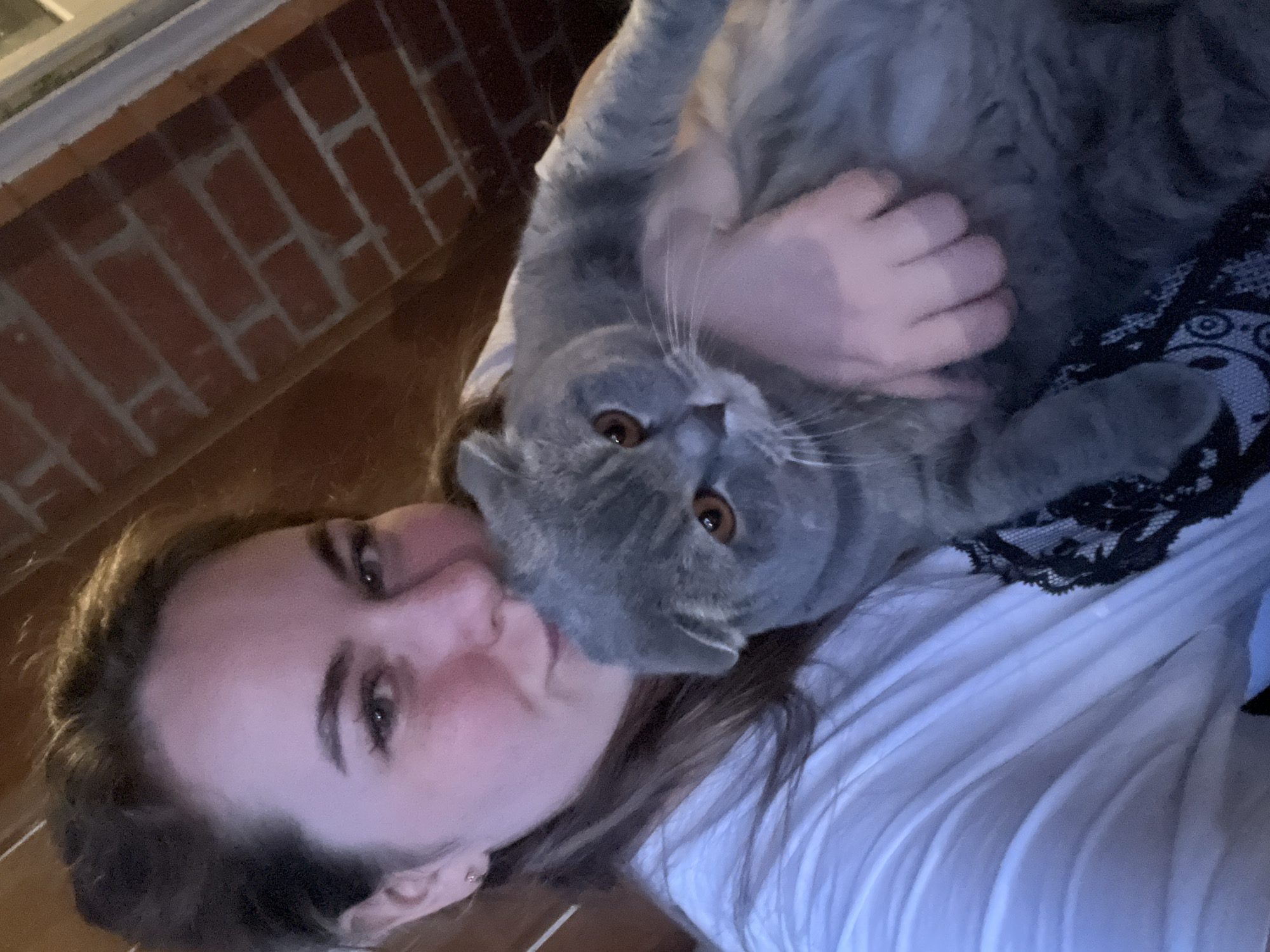 A person is lying down, holding a gray cat. The person has brown hair and is wearing a white shirt. The cat is on the person's chest. There is a brick wall in the background. The location is unknown and it is not necessarily Chaikovsky, Russia.
