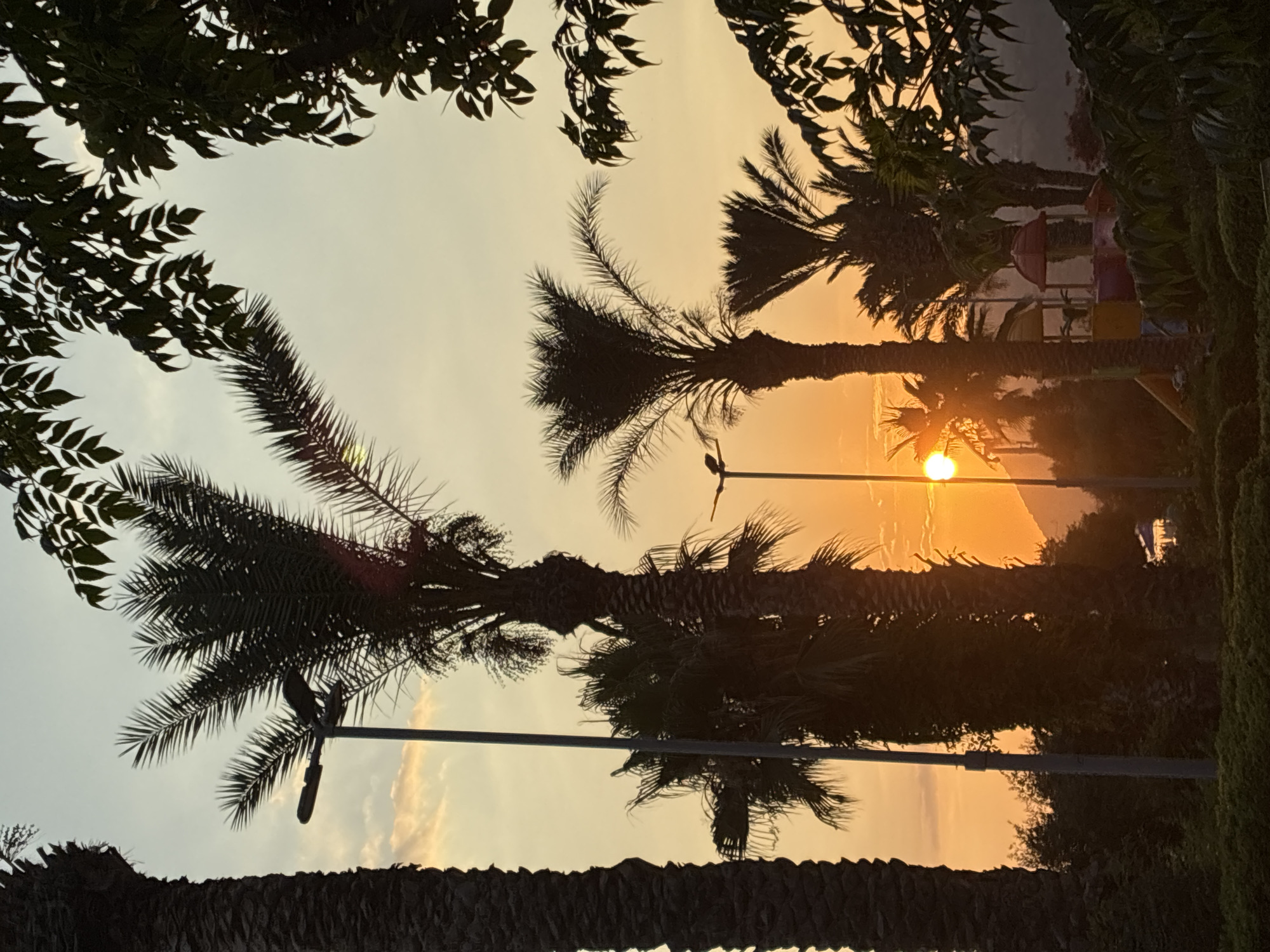 The image shows a sunset scene with palm trees silhouetted against the orange sky. The sun is visible as a bright orb, casting a warm glow over the landscape. In the foreground, there is a playground with colorful structures. The setting appears to be an outdoor area, possibly a park or a public space, in Alanya, Turkey. There are no people visible in the image. The environment is lush with vegetation, including more palm trees and other leafy plants. The overall impression is one of tranquility and natural beauty.