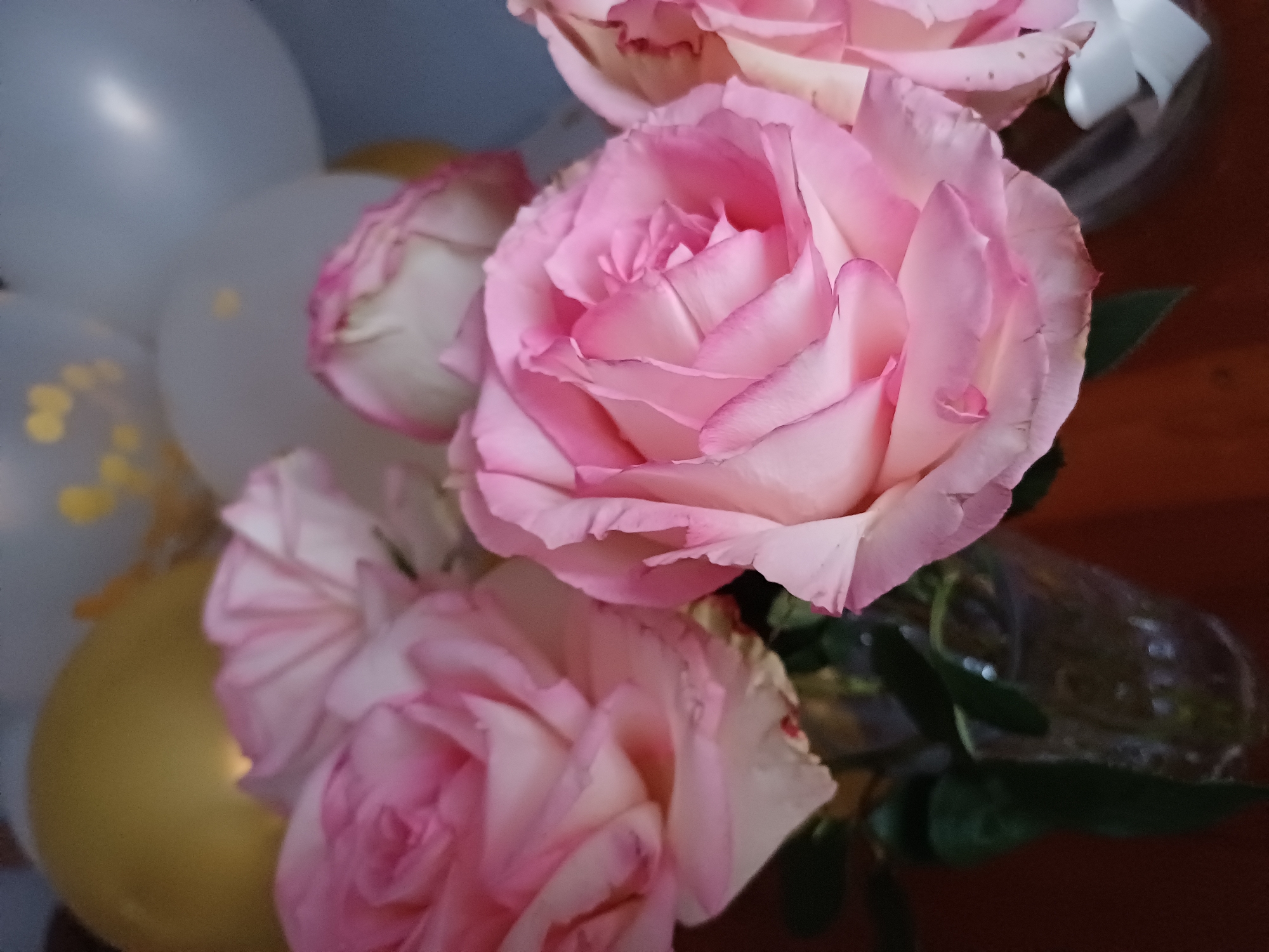 A close-up, shallow-depth-of-field shot shows several light pink roses with darker pink edges in a vase. The roses are the primary focus, with the background blurred. In the background, there are several balloons, one appears to be gold and others are white, some with gold polka dots. The overall impression is of a festive, celebratory arrangement. The lighting is soft and diffused.