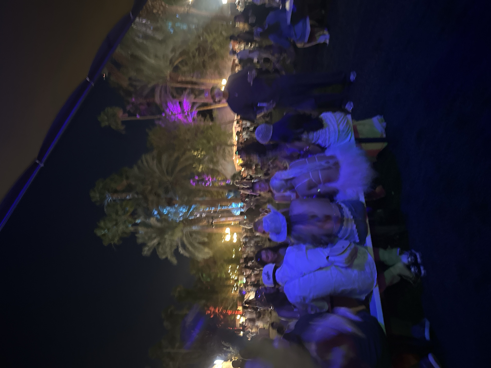 Here is a description of the image:
The image depicts an outdoor event at night, possibly a party or gathering. A group of people are seen seated at tables under a canopy. Palm trees adorned with colorful lighting are visible in the background. The atmosphere appears lively and festive. The location of the event is Unknown, Unknown.