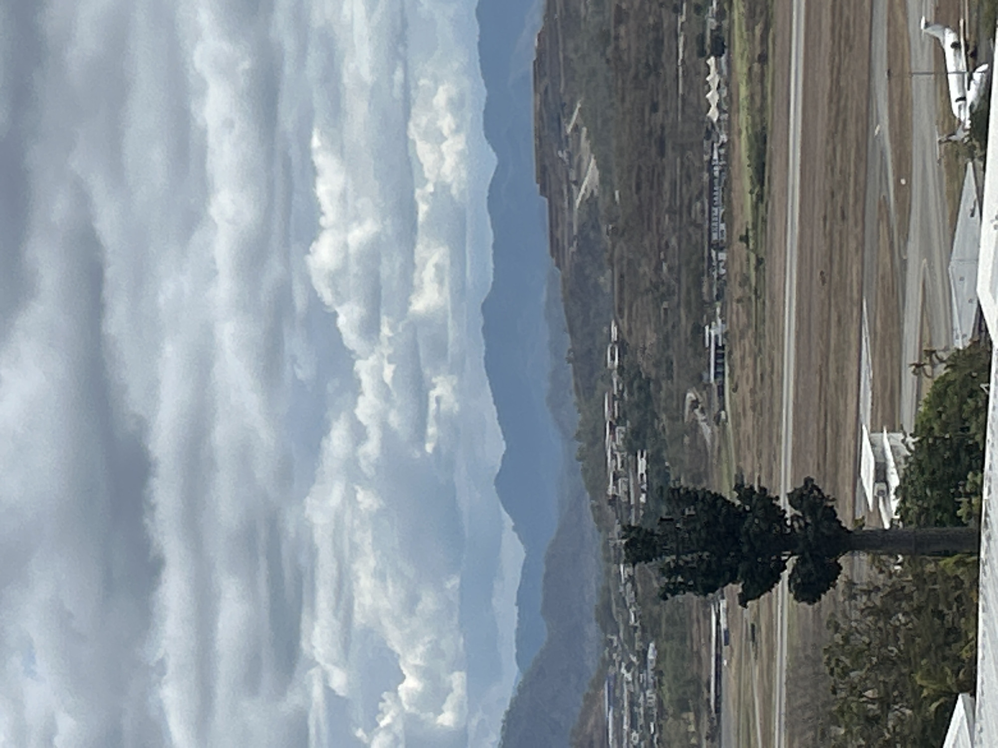 The image shows a view of an airport in Port Moresby, Papua New Guinea. In the foreground, a dark green, conical tree stands tall, with a smaller, lighter green tree to its left. Beyond the trees, an airport runway stretches across the mid-ground, with a white airplane visible on the tarmac to the right. In the background, buildings and a populated area can be seen on a gentle slope. Further in the distance, layered mountain ranges recede into the horizon under a cloudy sky. The overall scene is a landscape view of an airport with mountainous terrain surrounding it.