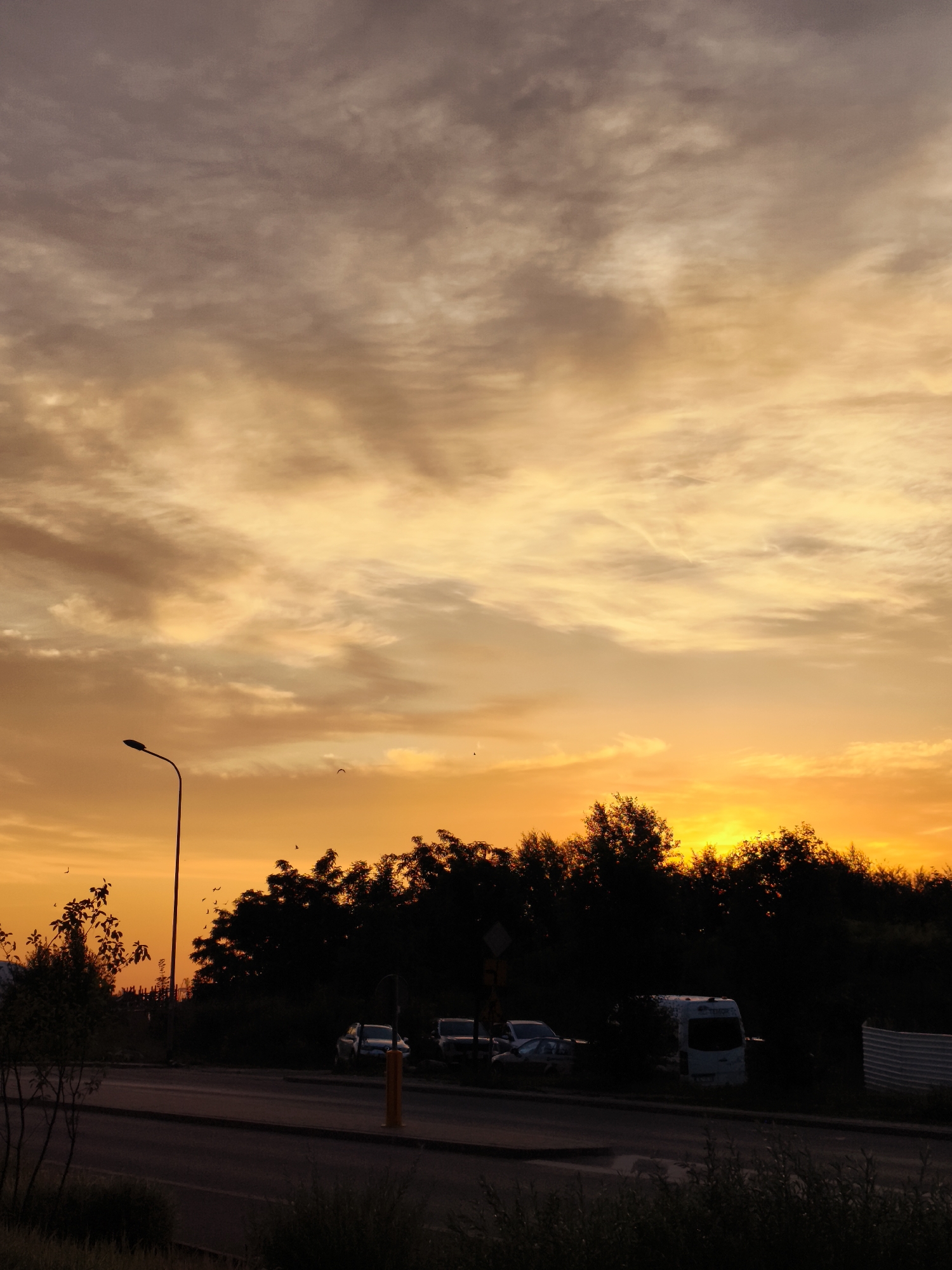 A vertical, low-angle, outdoor, daytime photograph captures a silhouetted treeline against a vibrant sunset sky over an industrial or urban fringe area. The sky is filled with wispy, elongated clouds, predominantly in shades of orange, yellow, and muted purple, creating a dramatic and atmospheric backdrop. The sun, low on the horizon, casts a warm glow, with brighter oranges and yellows concentrated near the tree line.
In the foreground, a dark asphalt road runs horizontally across the bottom of the frame, with a strip of vegetation to its left and right. To the left of the road, a slender, dark lamppost with an angled fixture stands tall. A few small, dark-leaved trees or bushes are visible to the left, their branches silhouetted against the sky.
Along the road, several vehicles are parked or driving. A dark-colored sedan is visible on the left. Further to the right, a white van is partially obscured by shadows and foliage. Two other vehicles, appearing to be sedans, are parked to the right of the van. The treeline, a dense mass of dark foliage, forms a jagged silhouette against the brightly lit sky, obscuring much of what lies beyond. Small dark specks, likely birds, are scattered across the sky. The overall impression is one of a quiet evening scene, possibly on the outskirts of a city.
While the specific location within Gdańsk, Poland cannot be definitively identified from the image alone, the scene's characteristics – the presence of a road, parked vehicles, a lamppost, and a treeline bordering what could be an undeveloped or industrial area – are common to many such environments within or around the city.