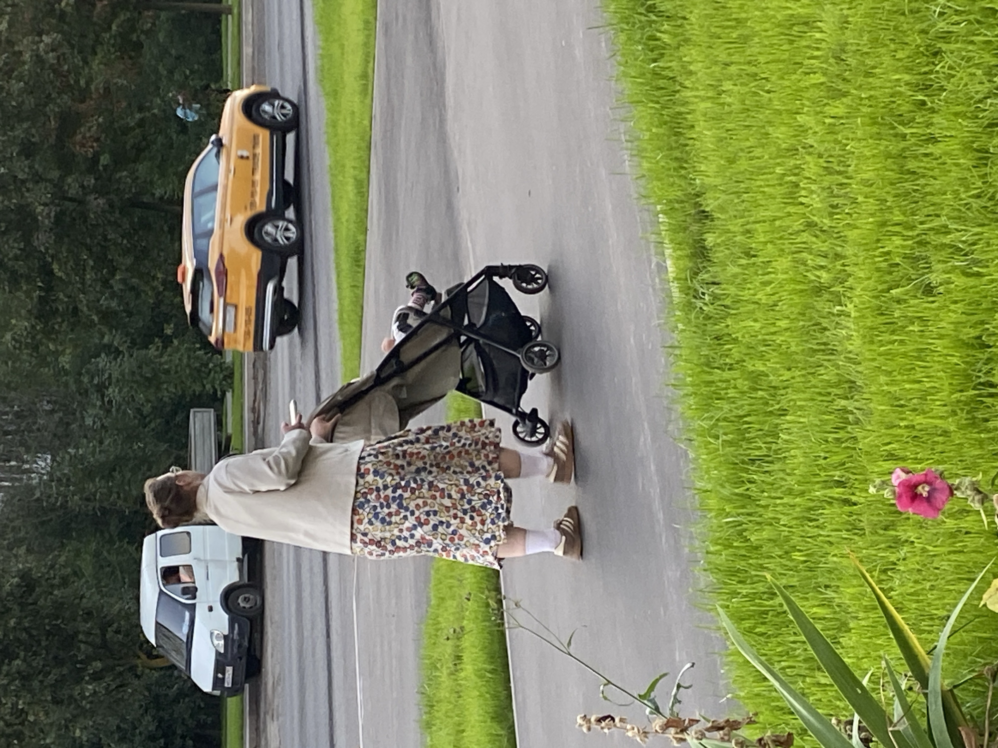 A woman wearing glasses, a light-colored jacket, and a floral skirt pushes a stroller along a paved path. The stroller contains a child. In the background, a yellow taxi drives on a road, and a white van is parked. Lush green grass lines the path and surrounds the road. A single pink flower is visible in the foreground. The scene appears to be in an urban park or along a street in a city.