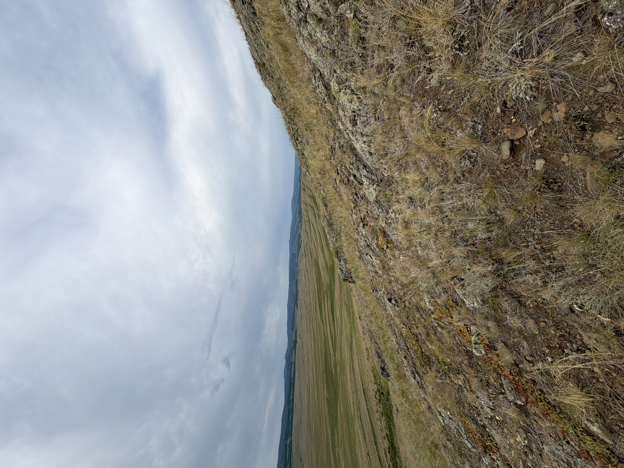 The image captures a vast, open landscape under a cloudy sky, likely a rural or natural setting. The foreground is dominated by a rocky, overgrown hillside covered in dry grasses and patches of reddish-green moss. The slope leads down into a wide, flat expanse of grassland, which is marked with subtle, parallel lines suggesting agricultural cultivation or natural patterns. In the distance, a range of low, tree-covered hills forms the horizon. The sky is overcast with diffused light, indicating a cloudy or possibly approaching storm. The scene is devoid of any human presence or activity. The provided crop hints suggest the focus is on the textures of the ground and the expansive sky and distant landscape.