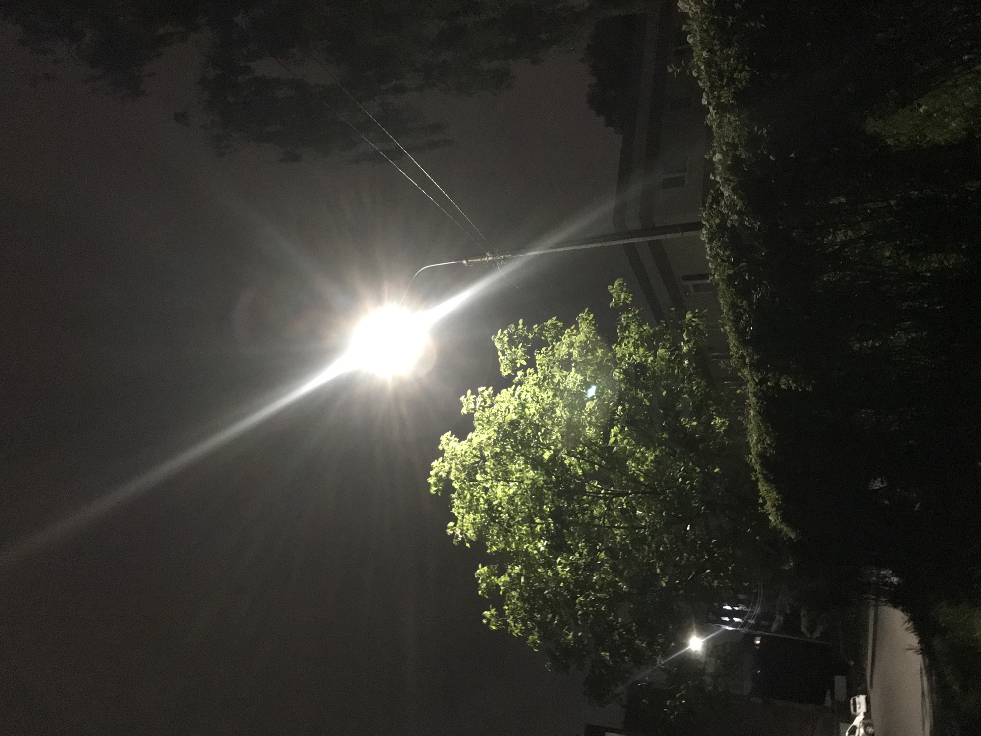 The image depicts a night scene illuminated by a bright street light. The light source is situated near the center of the frame, casting rays across the dark sky. A tree with lush green foliage is positioned to the right of the street light, its leaves catching the light. In the background, a building is partially visible behind the foliage. Below, a road is visible with parked cars. The image composition suggests an urban or suburban location, likely a residential street at night. There is no indication of Ternopil, Ukraine.