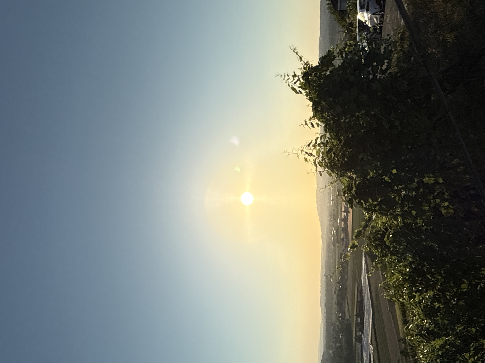 The image depicts a sunlit landscape viewed from a slight elevation, likely within or near Märstetten, Switzerland. The sky is clear and bright blue, transitioning to a pale yellow near the horizon. A bright, round sun is prominently positioned in the upper center of the frame, emitting a strong glare. In the foreground, lush green foliage, possibly grapevines, obscures the lower portion of the image. Beyond the foliage, a valley unfolds with agricultural fields, some covered with white material, and scattered buildings. Further in the distance, rolling hills form the background, bathed in the soft light of the sun. To the right, in the middle ground, several parked cars are visible on a paved surface adjacent to the foliage. The overall scene suggests a rural setting at either sunrise or sunset.