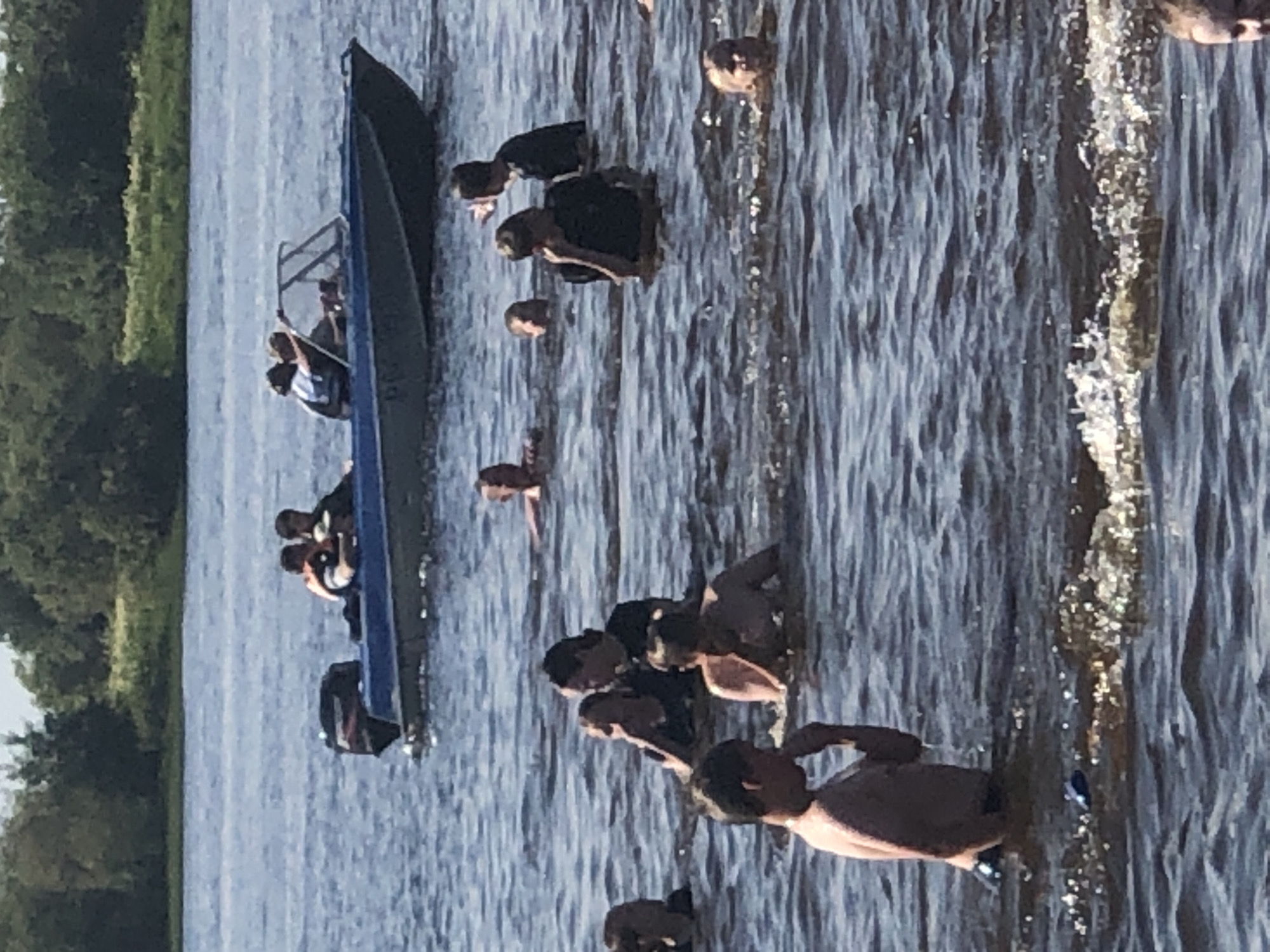 The image depicts a scene on a body of water, likely a river or lake, with a speed boat moving in the background and several people swimming or wading in the foreground. The speed boat, blue and gray with a black outboard motor, contains at least four individuals, some wearing life vests. The water is choppy, with sunlight glinting off the surface. The background shows a treeline with green foliage under a clear sky. The people in the water are of various ages, with some appearing to be children and others adults. Some are partially submerged, while others are more visible. One person in the foreground is shirtless and appears to be holding something to their mouth. Another person in the middle ground is wearing a dark t-shirt. The overall impression is a recreational summer day. The location is identified as Solikamsk, Russia.