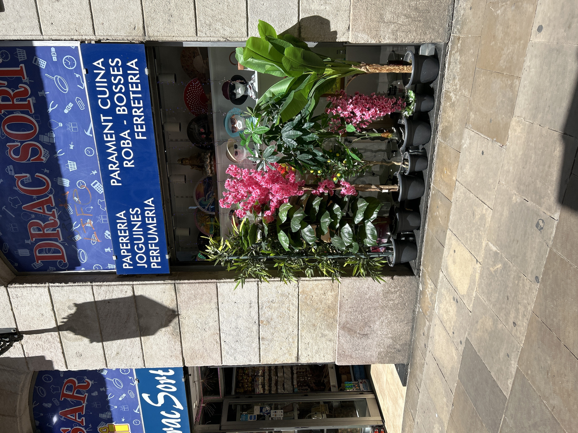 The image shows the storefront of "DRAC SORT" in Barcelona, Spain. The store has a large blue sign with white text that reads "DRAC SORT" at the top, and below it, "PAPERERIA JOGUINES PERFUMERIA" and "PARAMENT CUINA ROBA - BOSSES FERRETERIA". The storefront features a display of artificial plants, including a banana tree and a flowering plant with pink blossoms, arranged in black pots. In the window, several mannequins are visible wearing hats and sunglasses. Behind the mannequins, decorative fans and what appears to be a Buddha statue are displayed. To the left of the main storefront, a smaller section of the shop is visible with an open glass door, revealing shelves stocked with merchandise. The building is constructed with stone blocks, and a shadow of a decorative lamp post falls across the facade. The ground in front of the store is paved with large stone tiles.