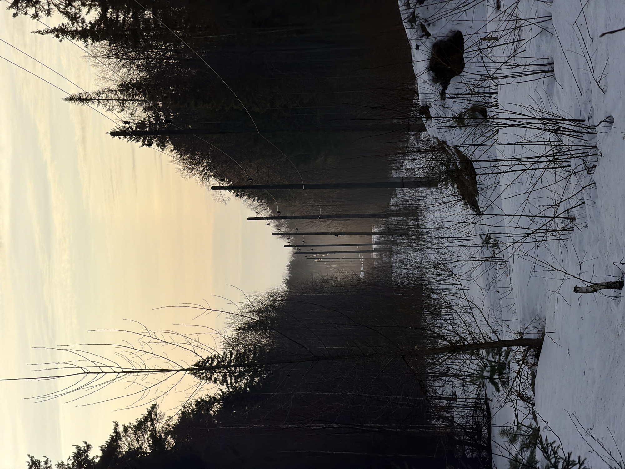 The image depicts a winter landscape in Chaikovsky, Russia. A line of wooden utility poles extends into the distance, carrying electrical wires. The poles are situated along a road or path bordered by a dense forest with bare trees and snow-covered ground. The sky is overcast, suggesting either dawn or dusk. No people are visible in the scene.