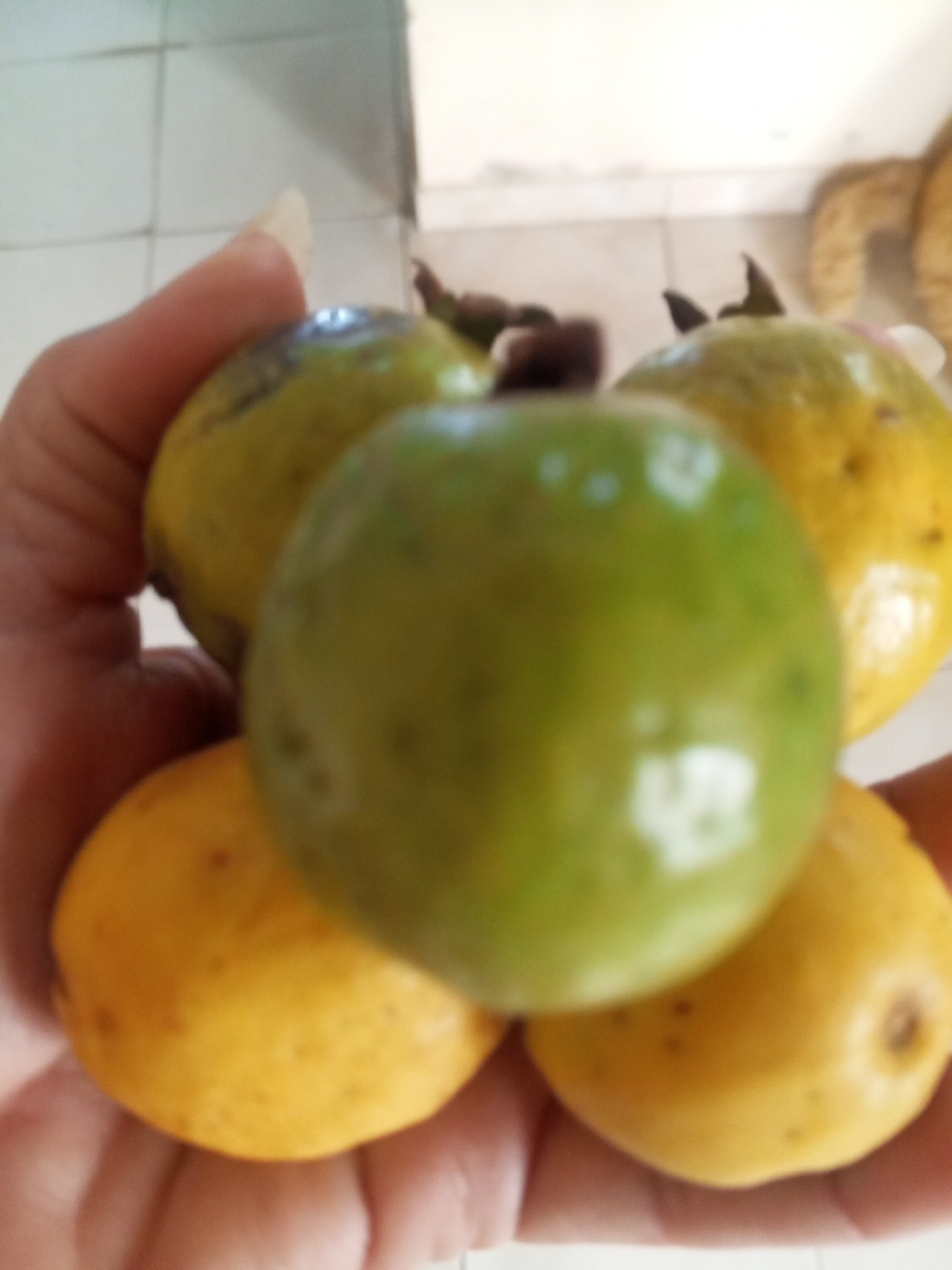 A hand is holding a small pile of guavas. One guava is green and in the foreground, while the others are yellow and partially visible around it. The background is blurry and appears to be an indoor setting with tiled walls. The image quality is low, and the subject matter is not discernible beyond the fruits and the hand. No specific location in Altagracia, Venezuela, can be identified from the visual information provided.