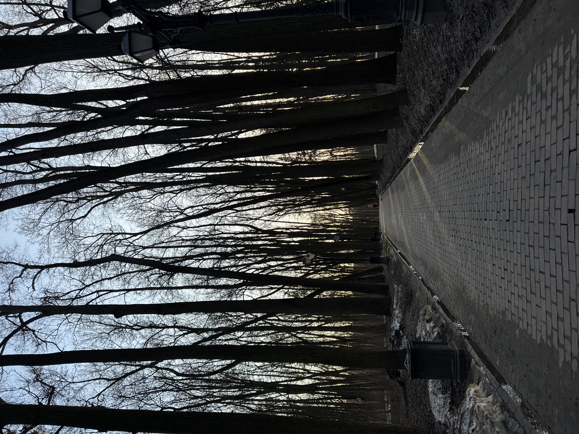 The image depicts a path in a park in Moscow, Russia. The path is paved with grey bricks and bordered by trees on both sides. The trees are bare, with only branches visible against the sky. Street lamps are placed along the path on both sides. There is some snow on the ground. The sky is light grey with a hint of light orange at the end of the path.