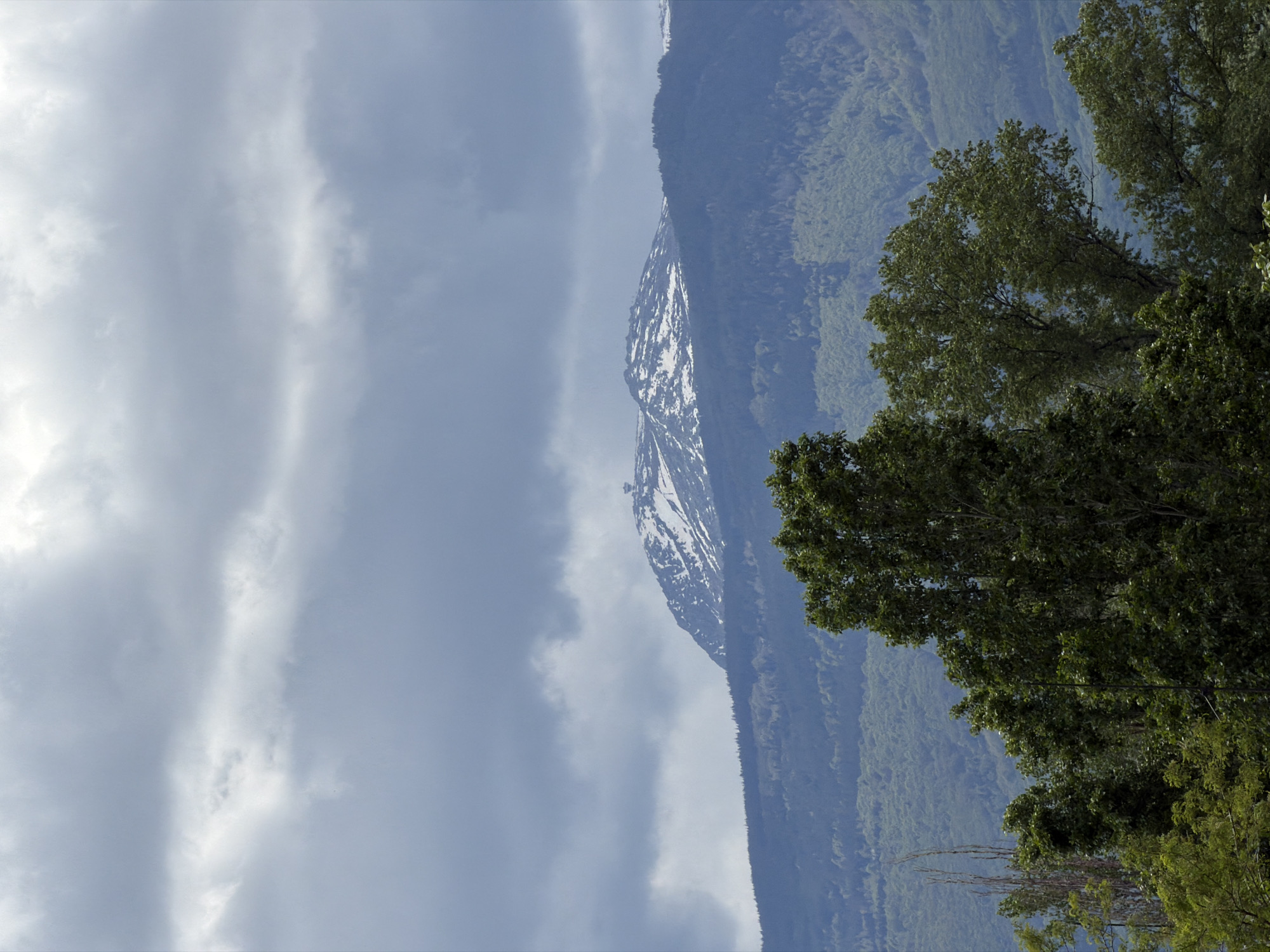 A landscape image shows a mountain range with snow patches on its slopes, viewed from what seems to be a lower vantage point. The mountain partially obscured by the cloudy sky. Green trees stand out in the foreground on the right side of the image, creating a contrast with the gray-blue hues of the mountains and the sky.
Because Sofia is surrounded by mountains, specifically the Vitosha Mountain, this view is likely in the outskirts of Sofia.