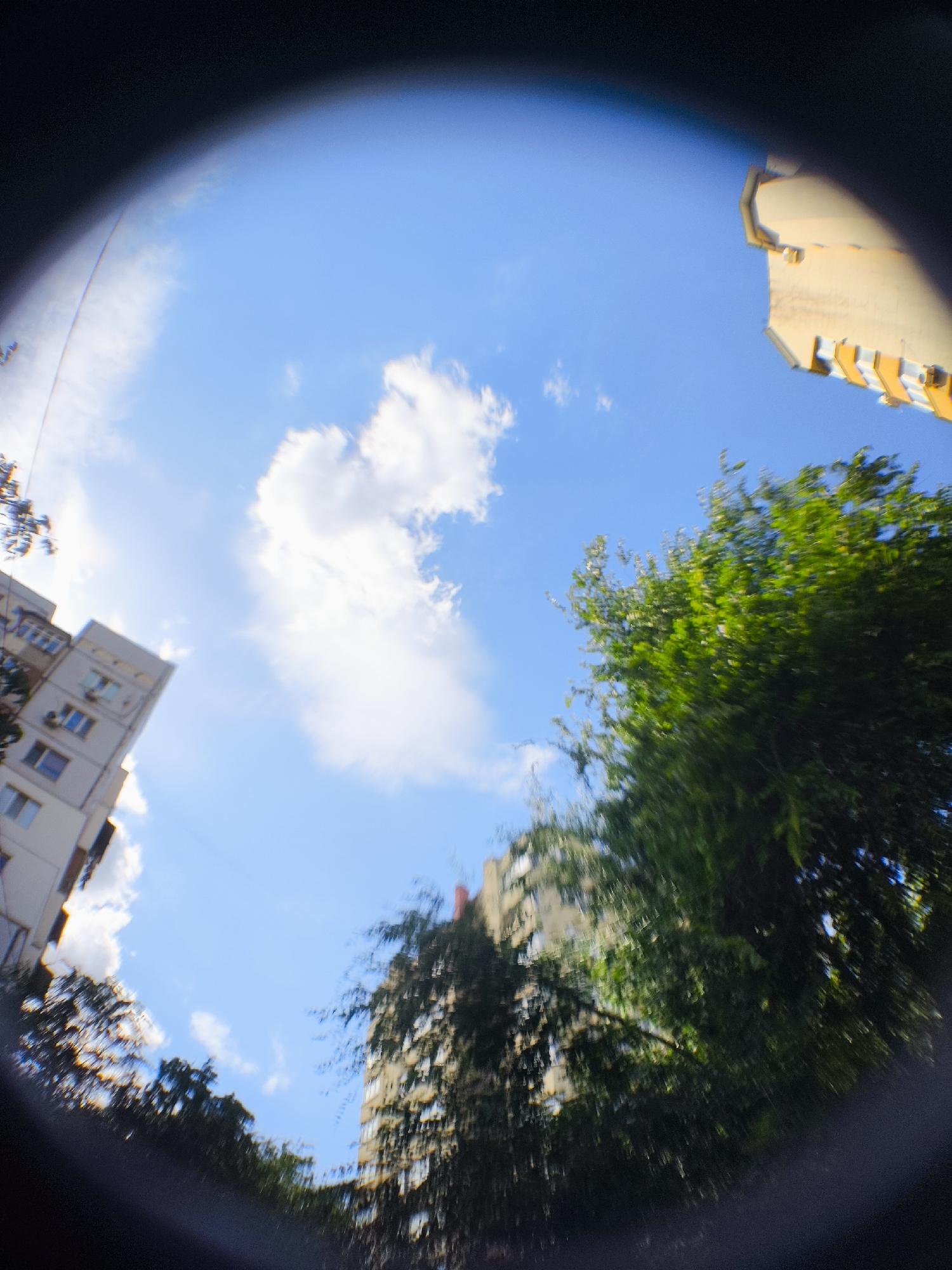 The image is a low-angle, wide-angle shot of a sky with clouds, trees, and buildings. The scene is distorted due to the wide-angle lens. The sky is a bright blue with some scattered white clouds. On the left side of the image, a white building with several windows and air conditioning units is visible. In the center and right side, lush green trees are prominent, some of which appear to be blurred due to motion or focus. Another building, taller and lighter in color with many windows, can be seen behind the trees on the right. The top right corner of the image shows a portion of a yellow structure with visible architectural details and orange accents. The image appears to be taken outdoors in an urban environment on a sunny day.