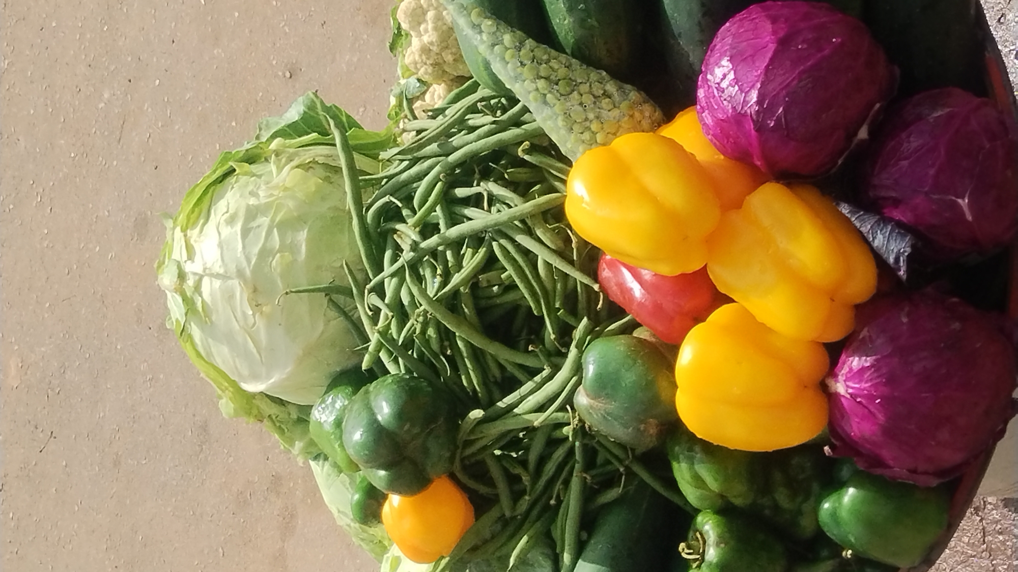 The image shows a variety of fresh vegetables. There is white cabbage, green beans, cucumbers, cauliflower, red cabbage, yellow bell peppers, green bell peppers, and what appears to be bitter melon. The location is not discernible from the image alone. Jos, Nigeria is not visually confirmed in the image. The vegetables appear to be arranged in a pile, possibly for sale or transport. No people or interactions are depicted. The environment is limited to the visible surface beneath the vegetables, appearing to be a rough, light-colored surface.